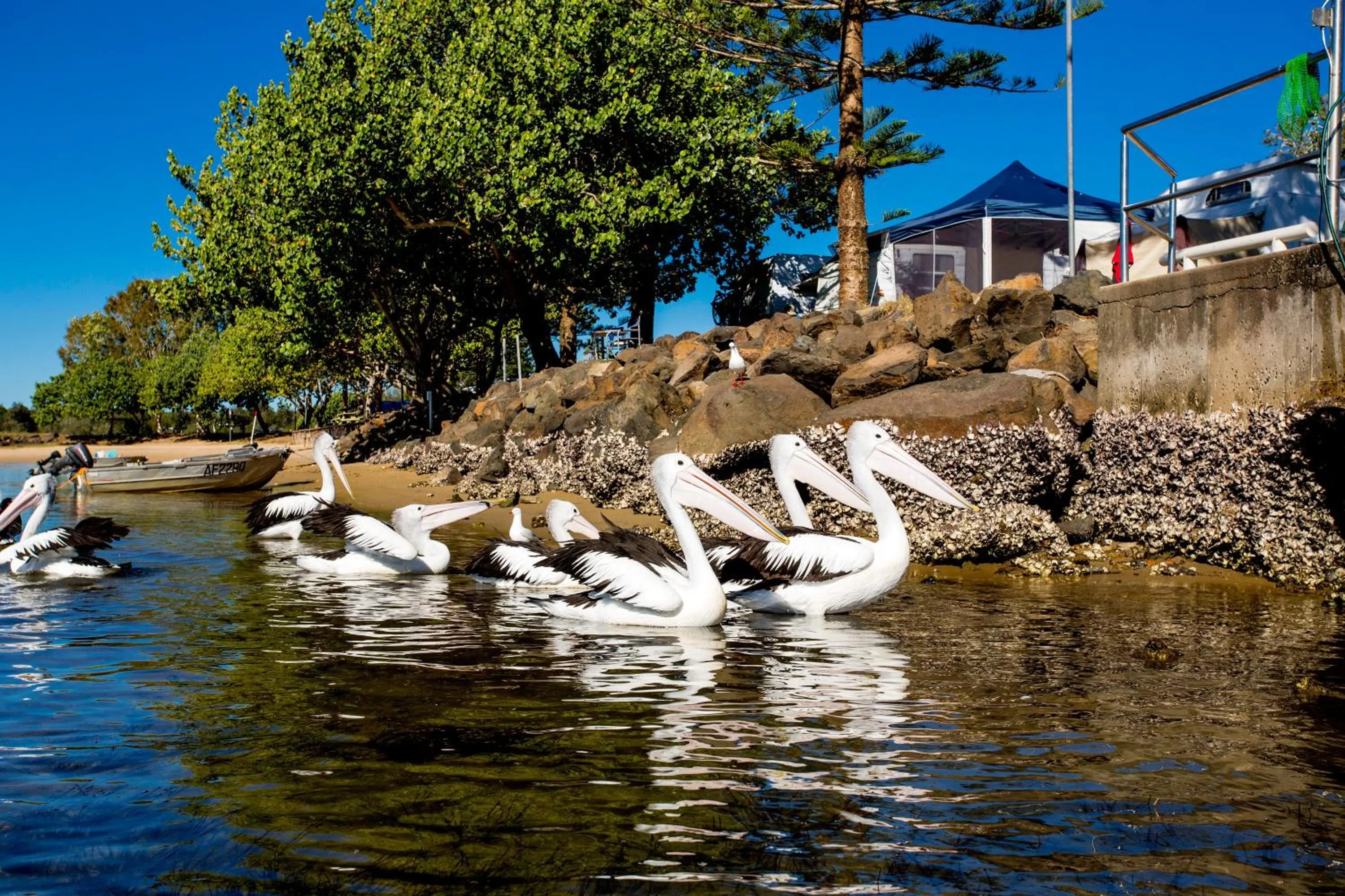 Day in Reflections Massy Greene - Holiday Park