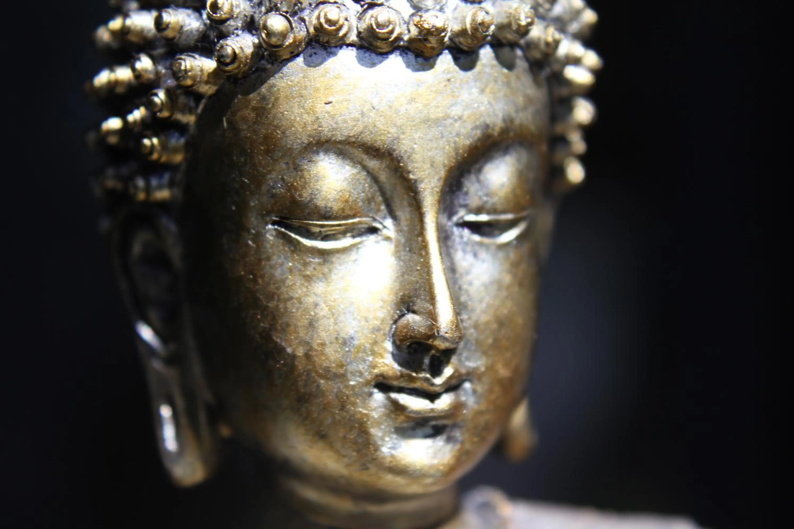 Decorative detail in Sandpipers @ Millicent