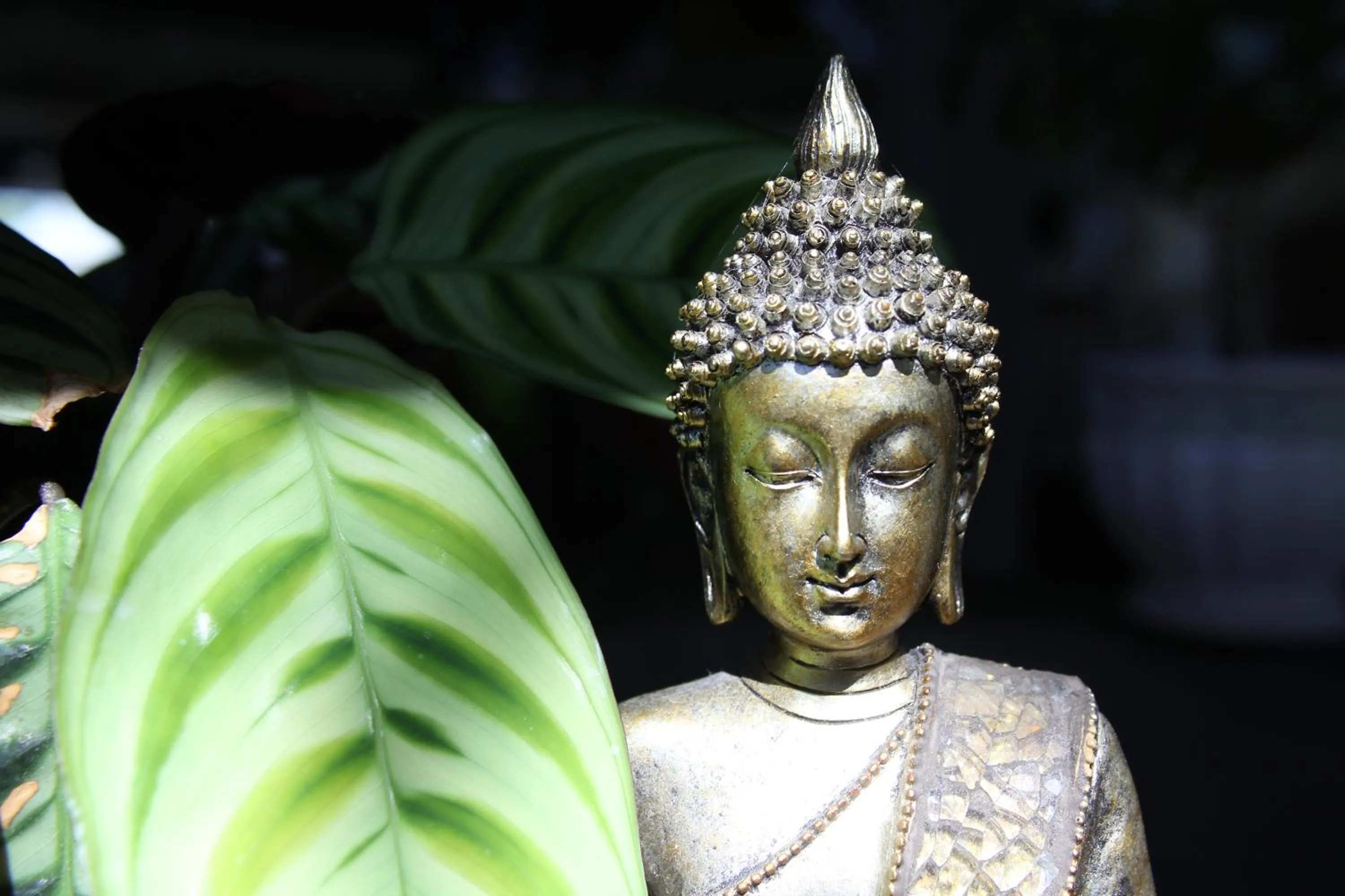 Decorative detail in Sandpipers @ Millicent