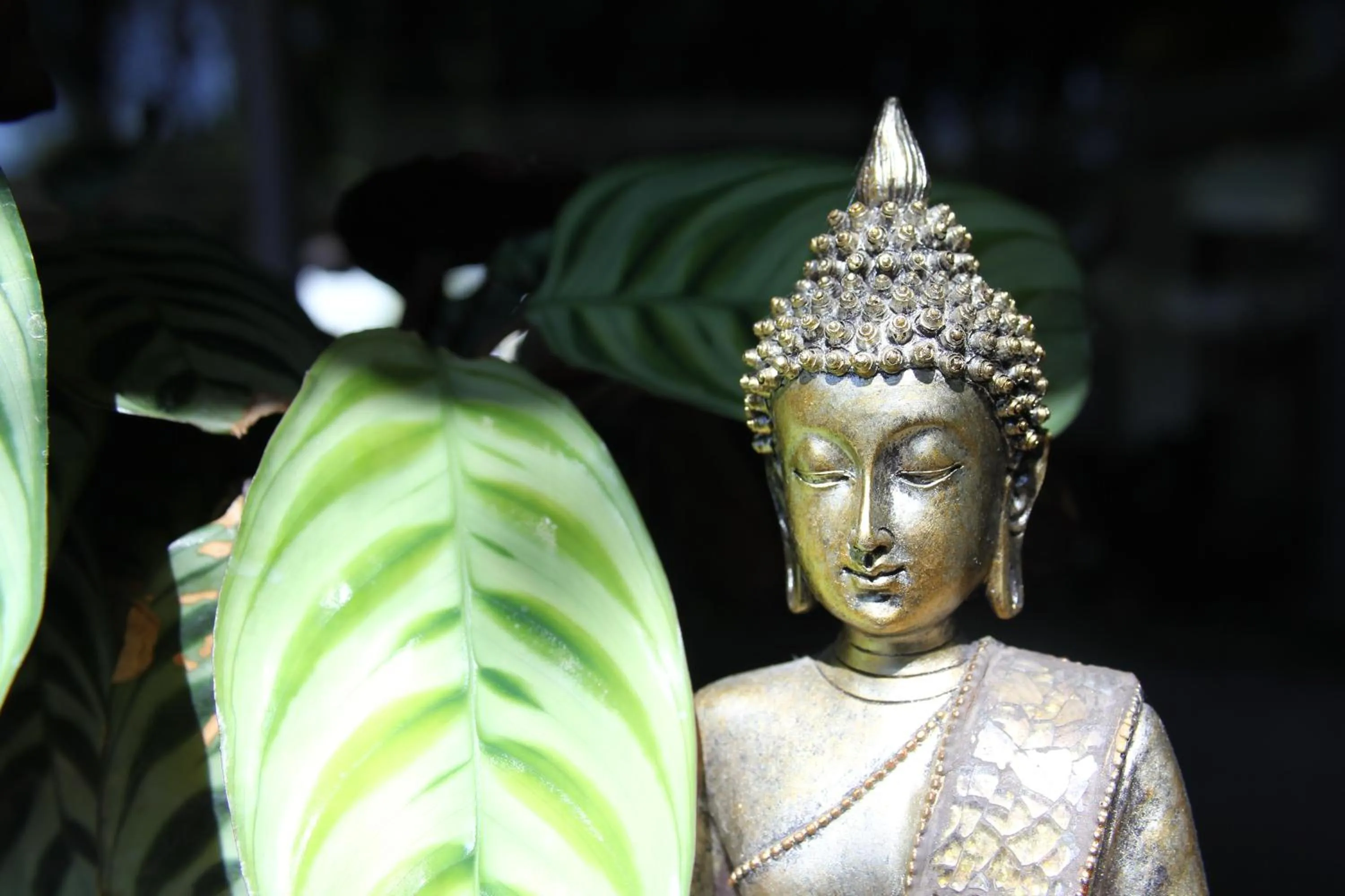 Decorative detail in Sandpipers @ Millicent