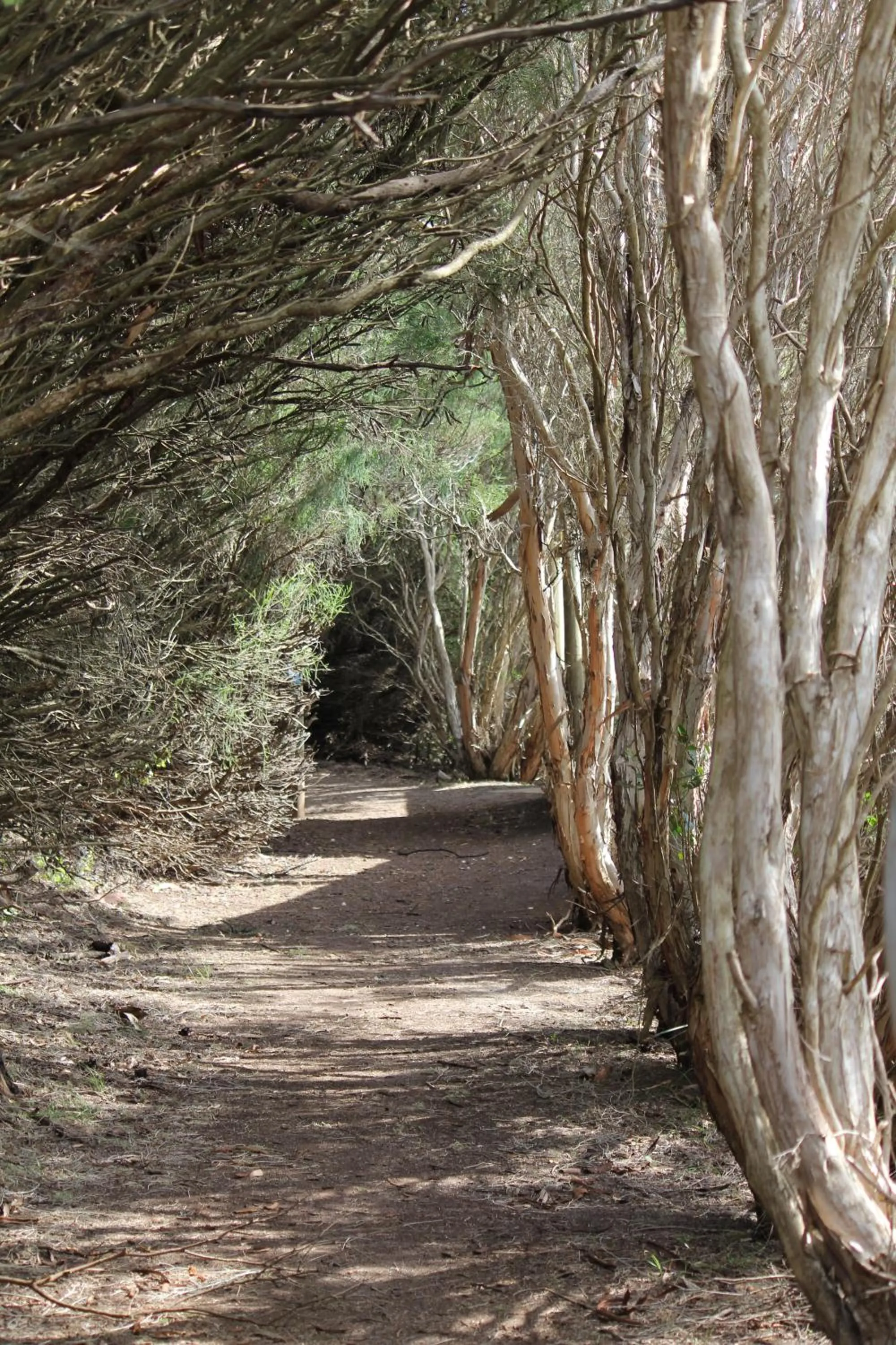 Nearby landmark in Sandpipers @ Millicent