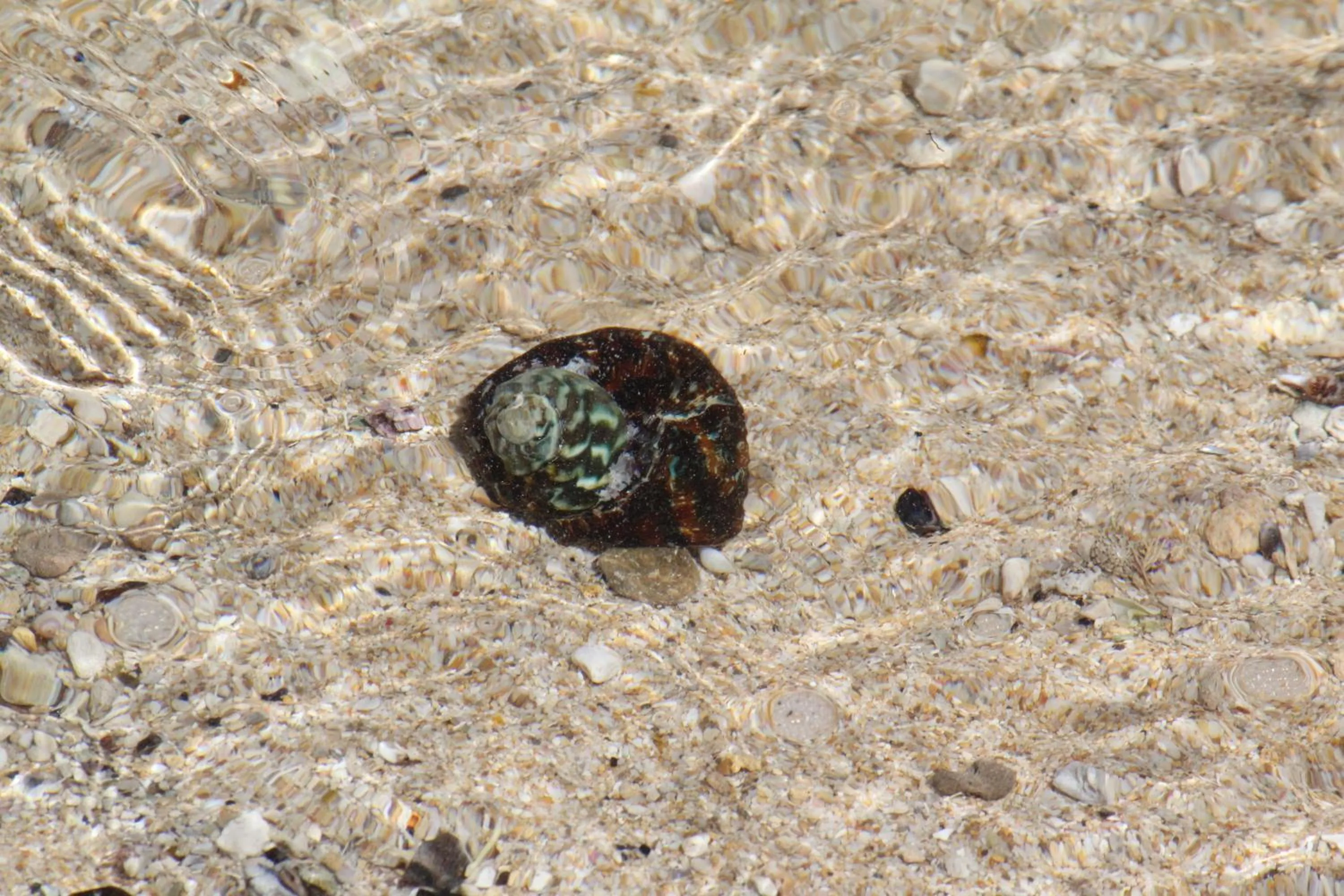 Fishing in Sandpipers @ Millicent