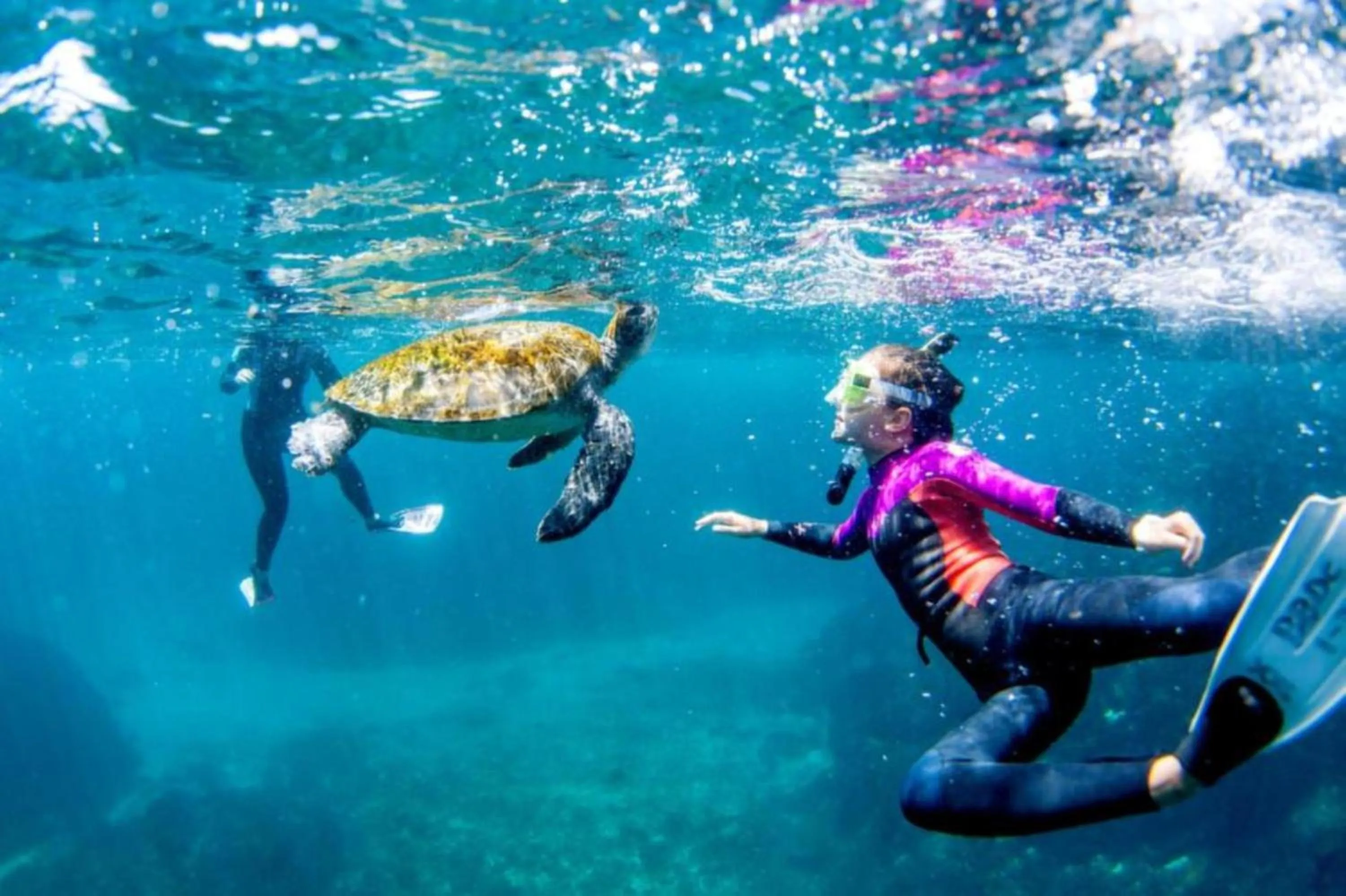 Natural landscape in Reflections Byron Bay - Holiday Park