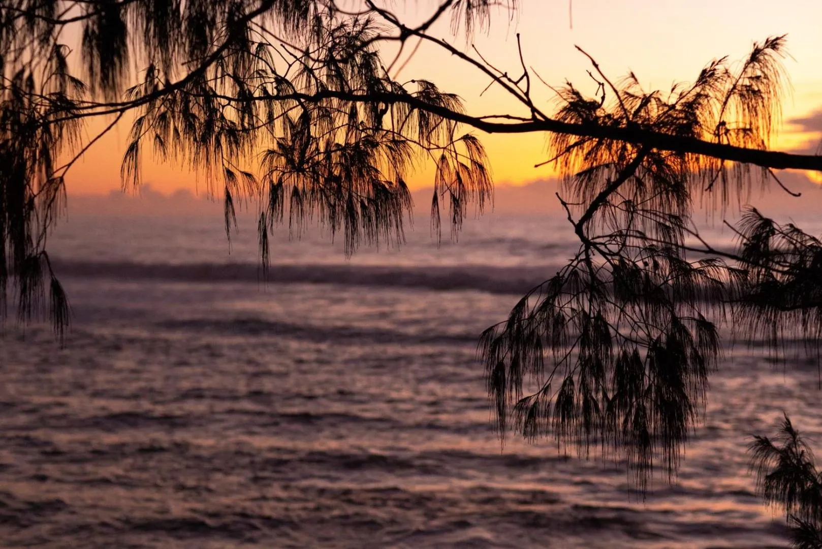 Natural landscape in Reflections Bonny Hills - Holiday Park