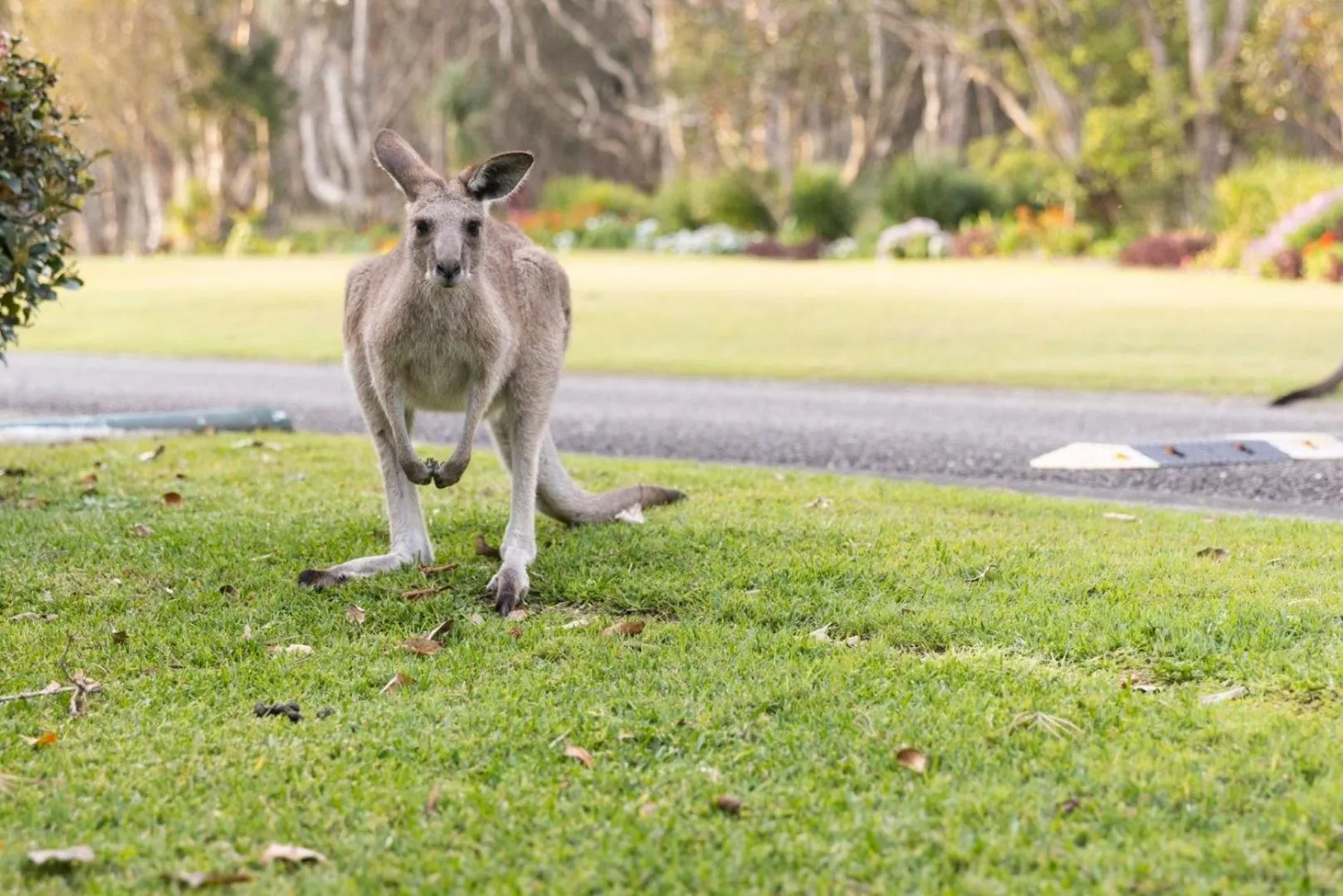 Natural landscape in Reflections North Haven - Holiday Park