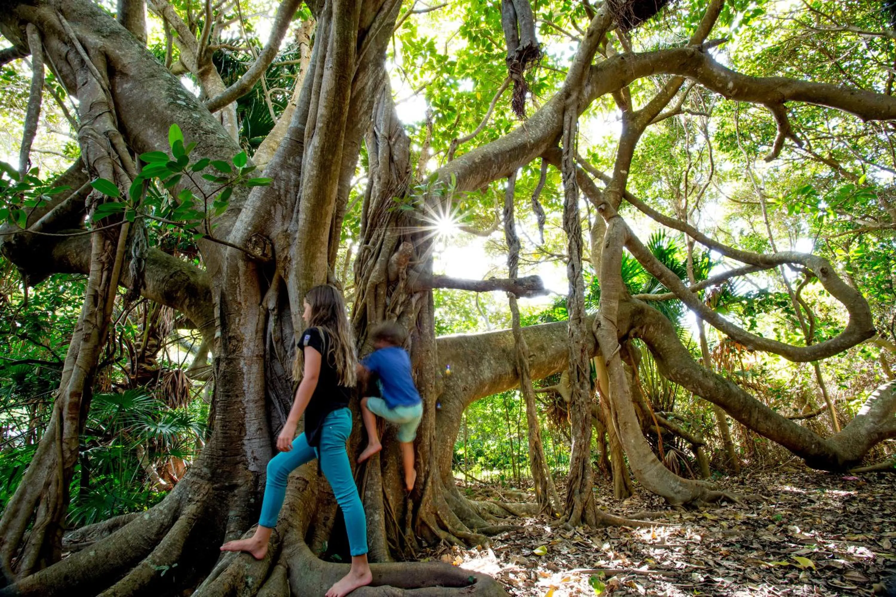 Area and facilities in Reflections Seal Rocks - Holiday Park