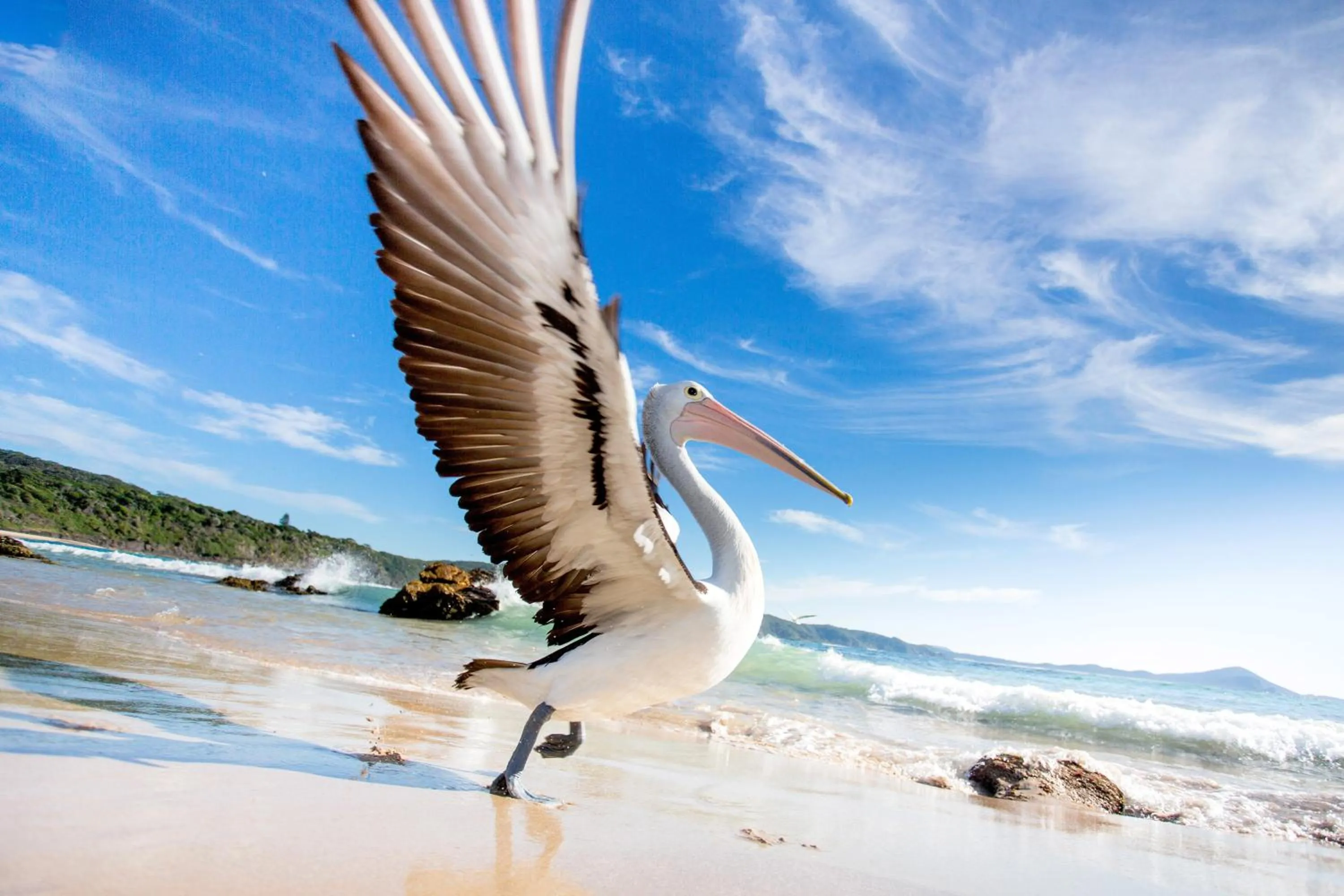 Area and facilities in Reflections Seal Rocks - Holiday Park