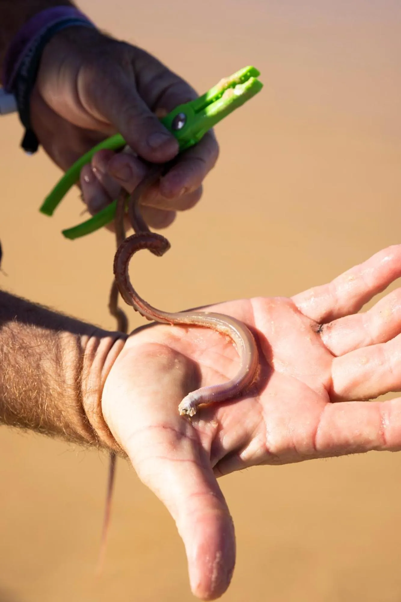 Fishing in Reflections Seal Rocks - Holiday Park
