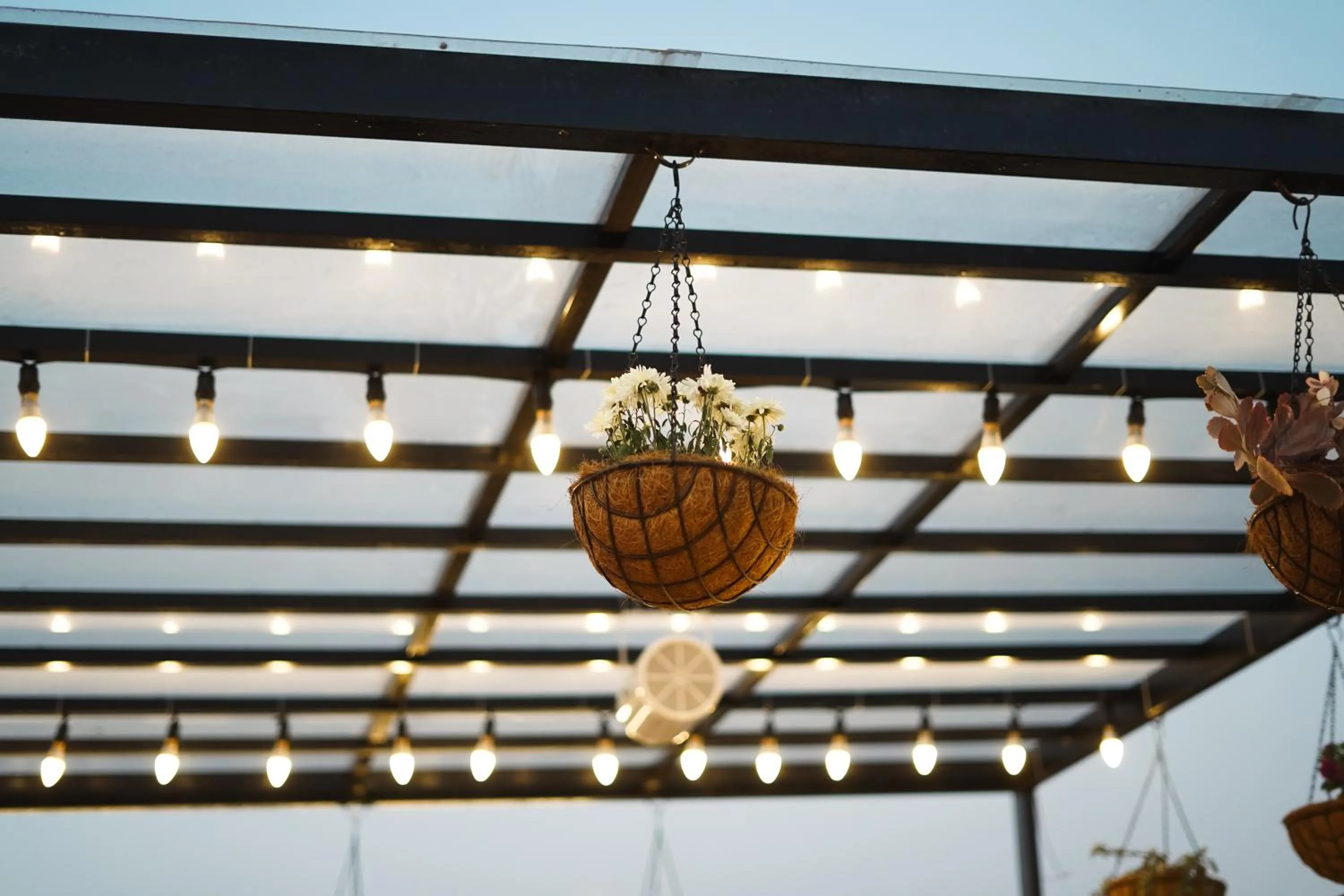 Decorative detail in The Eleganza