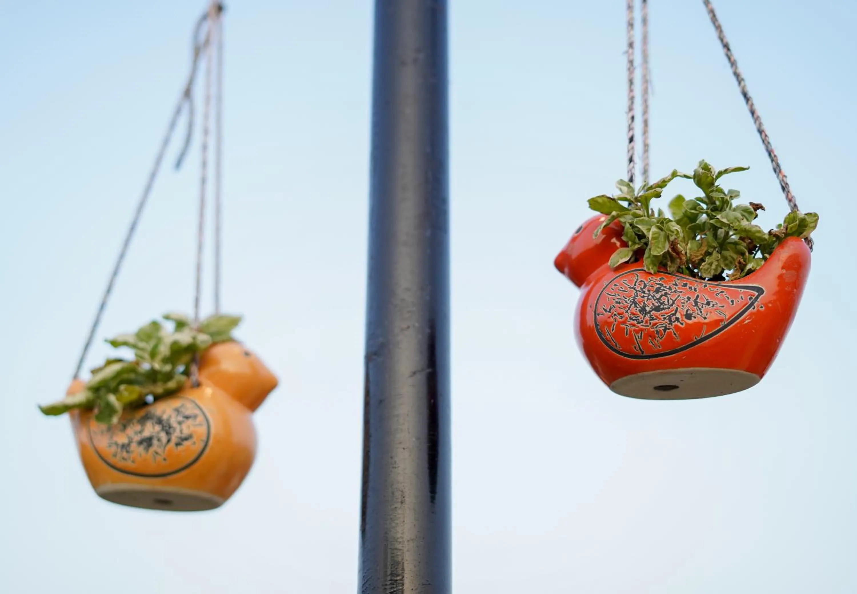 Decorative detail in The Eleganza