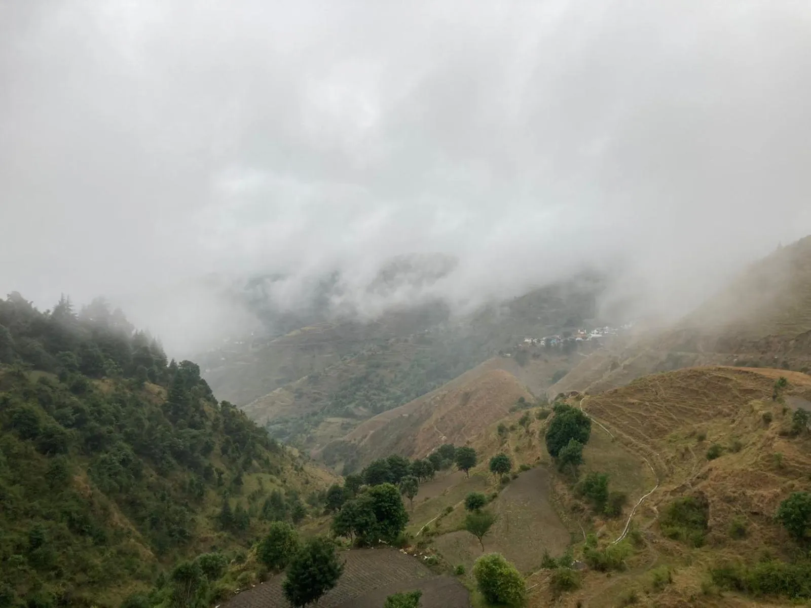 View (from property/room) in Chakrata Inn Resort