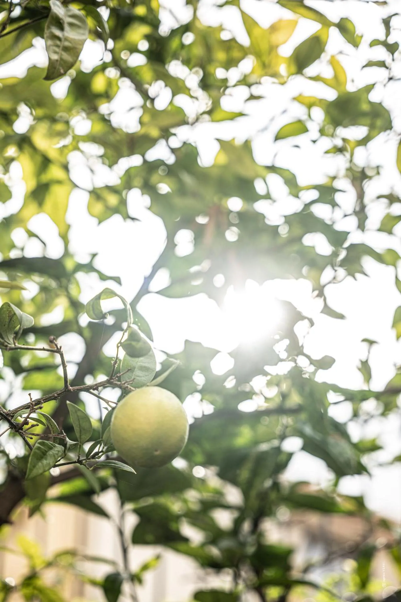 Spring in Hôtel Le Mosaïque