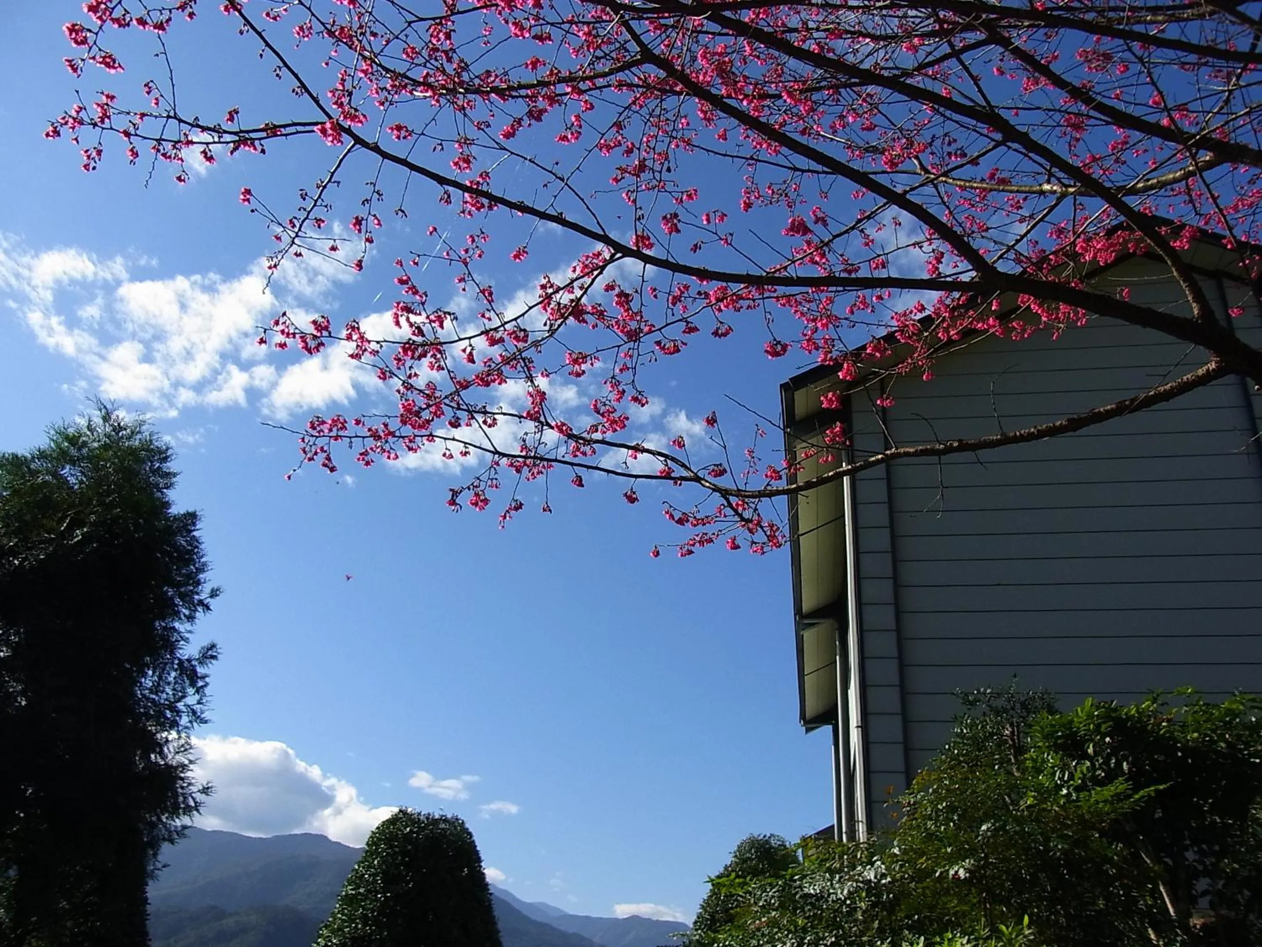 View (from property/room) in Ying Shih Guest House