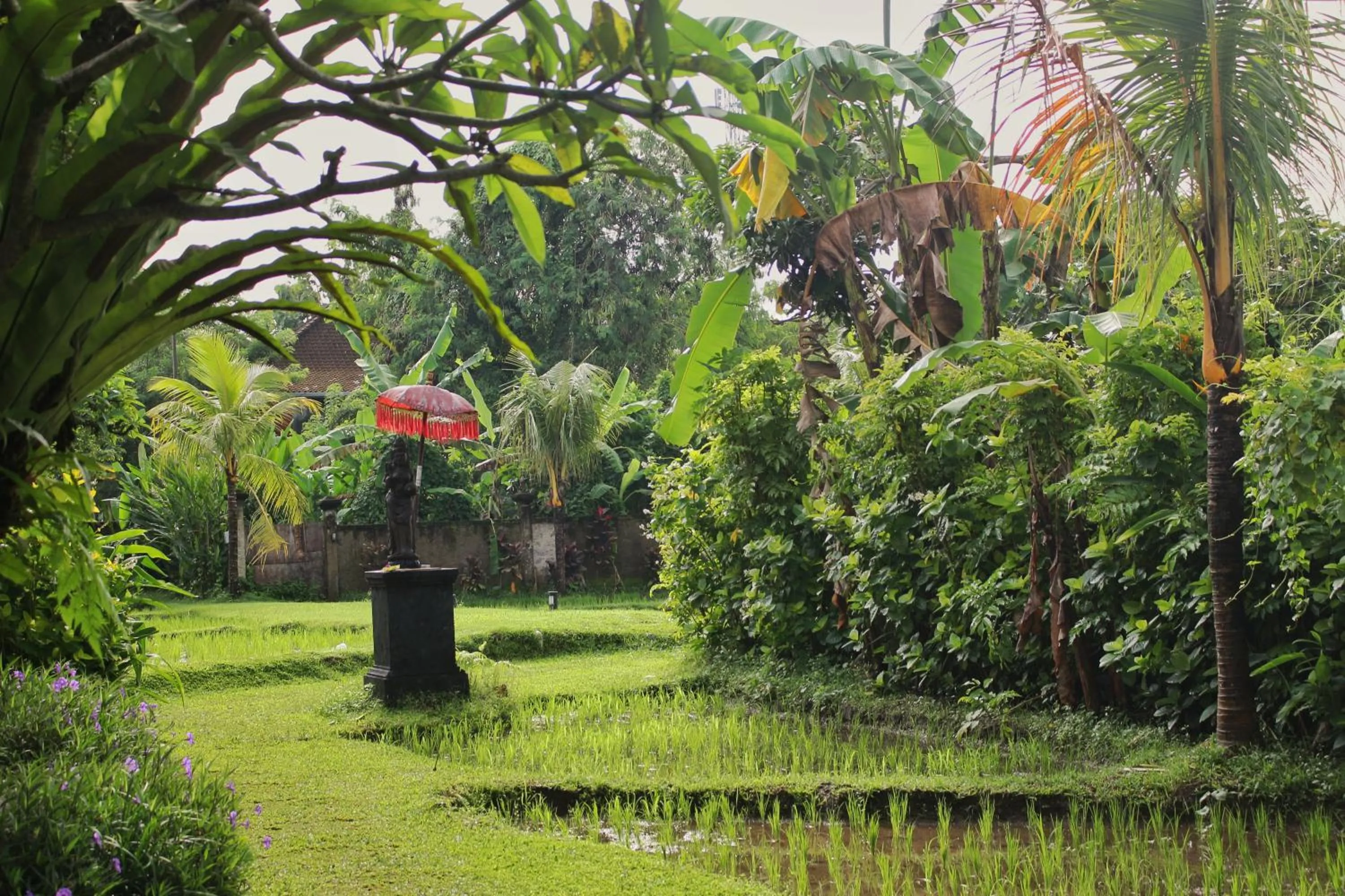 Garden in Saren Indah Hotel