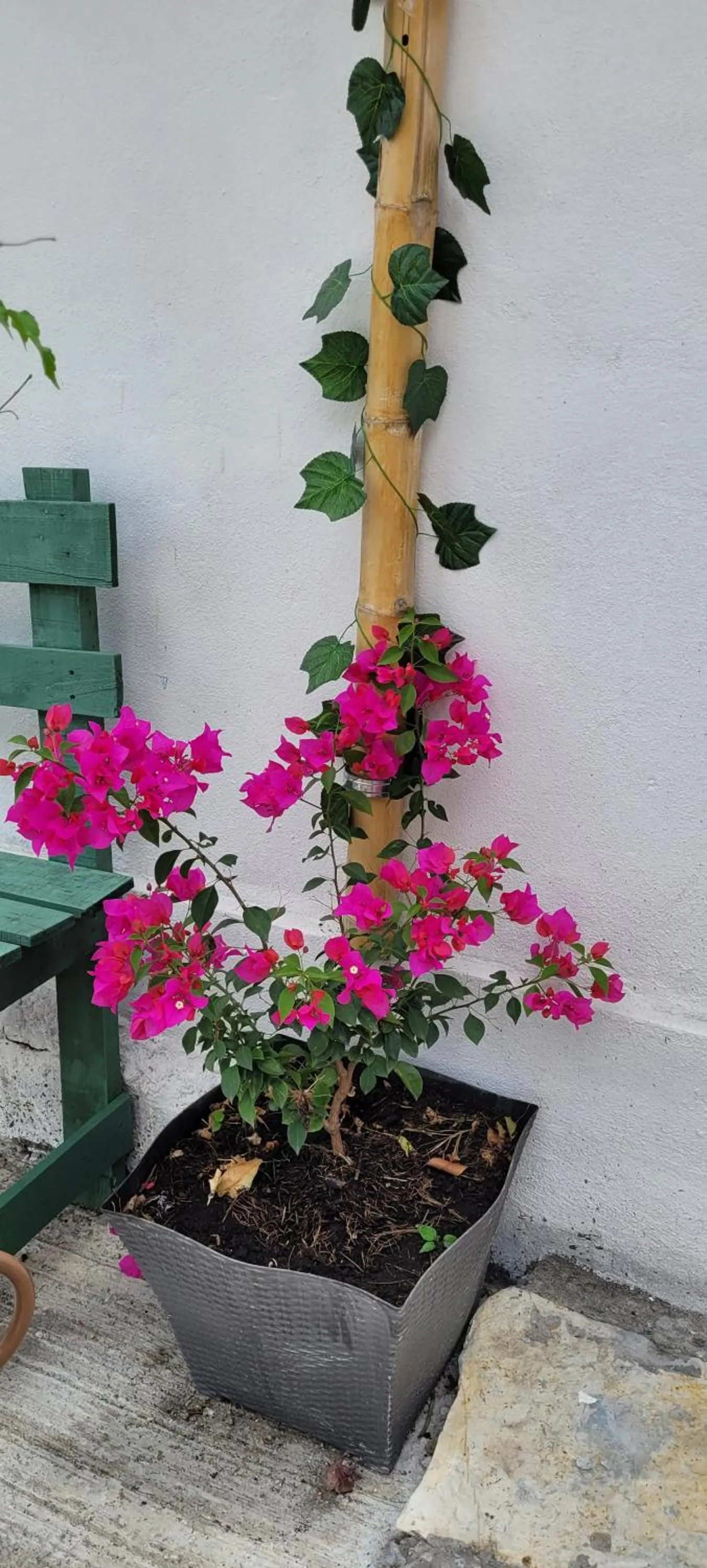 Lobby or reception in Doña Adelina House