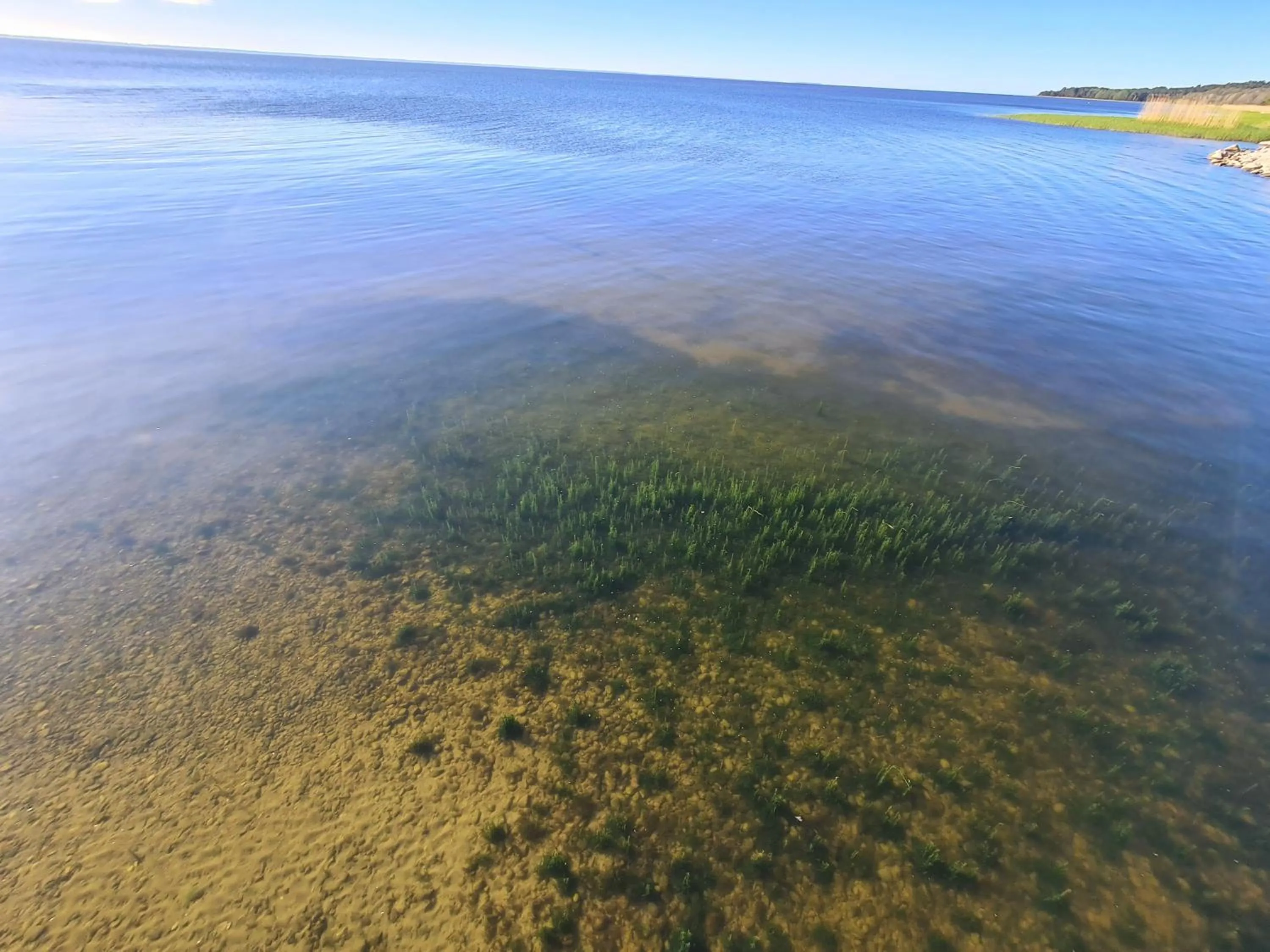 Natural landscape in Villa Loebel 1881