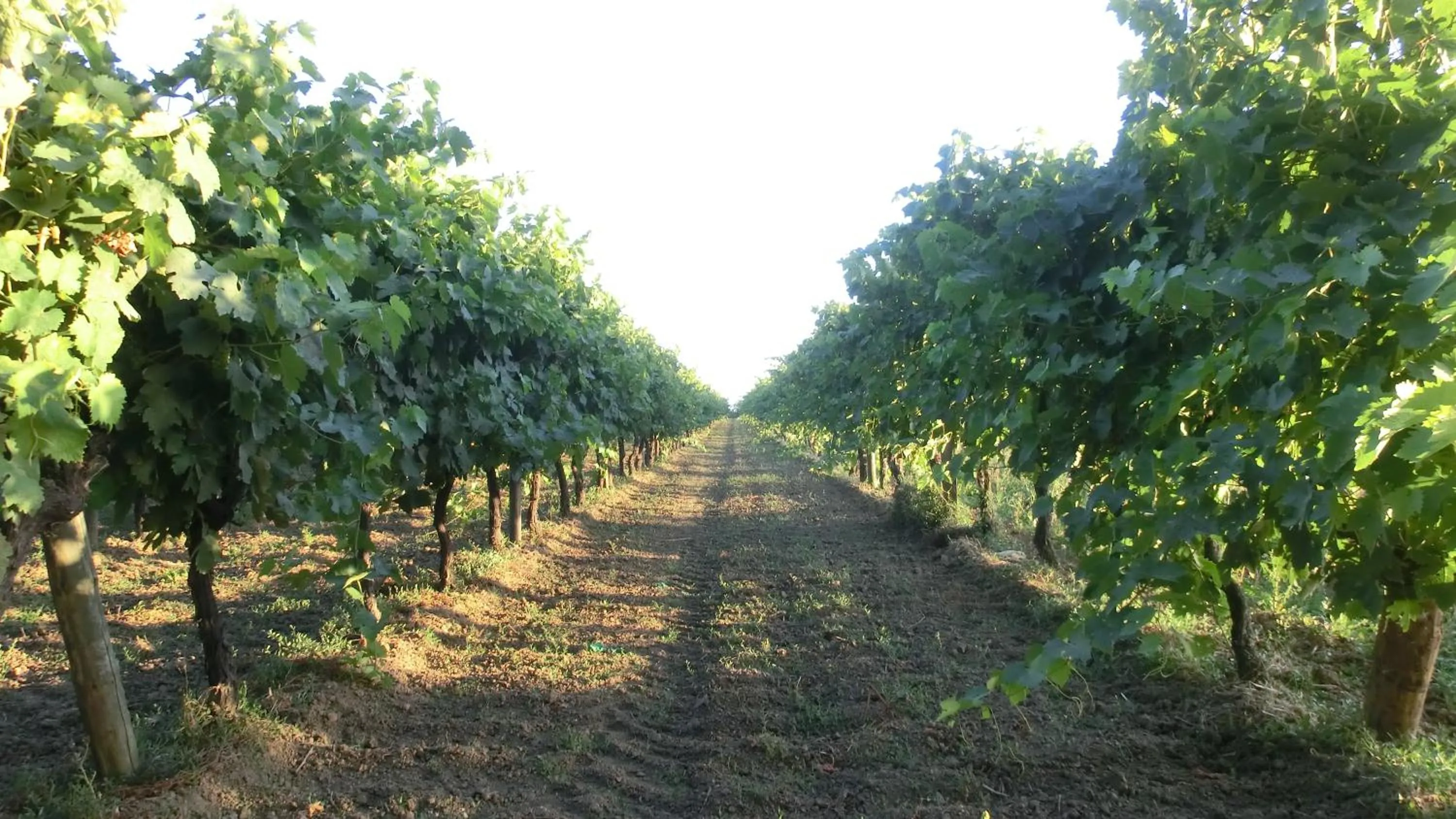 Neighbourhood in La Fontenelle Chambres d'Hôtes
