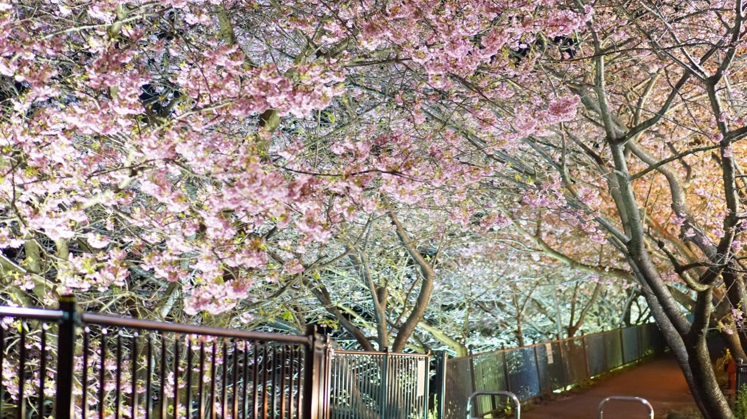 Nearby landmark in Zen no Yu