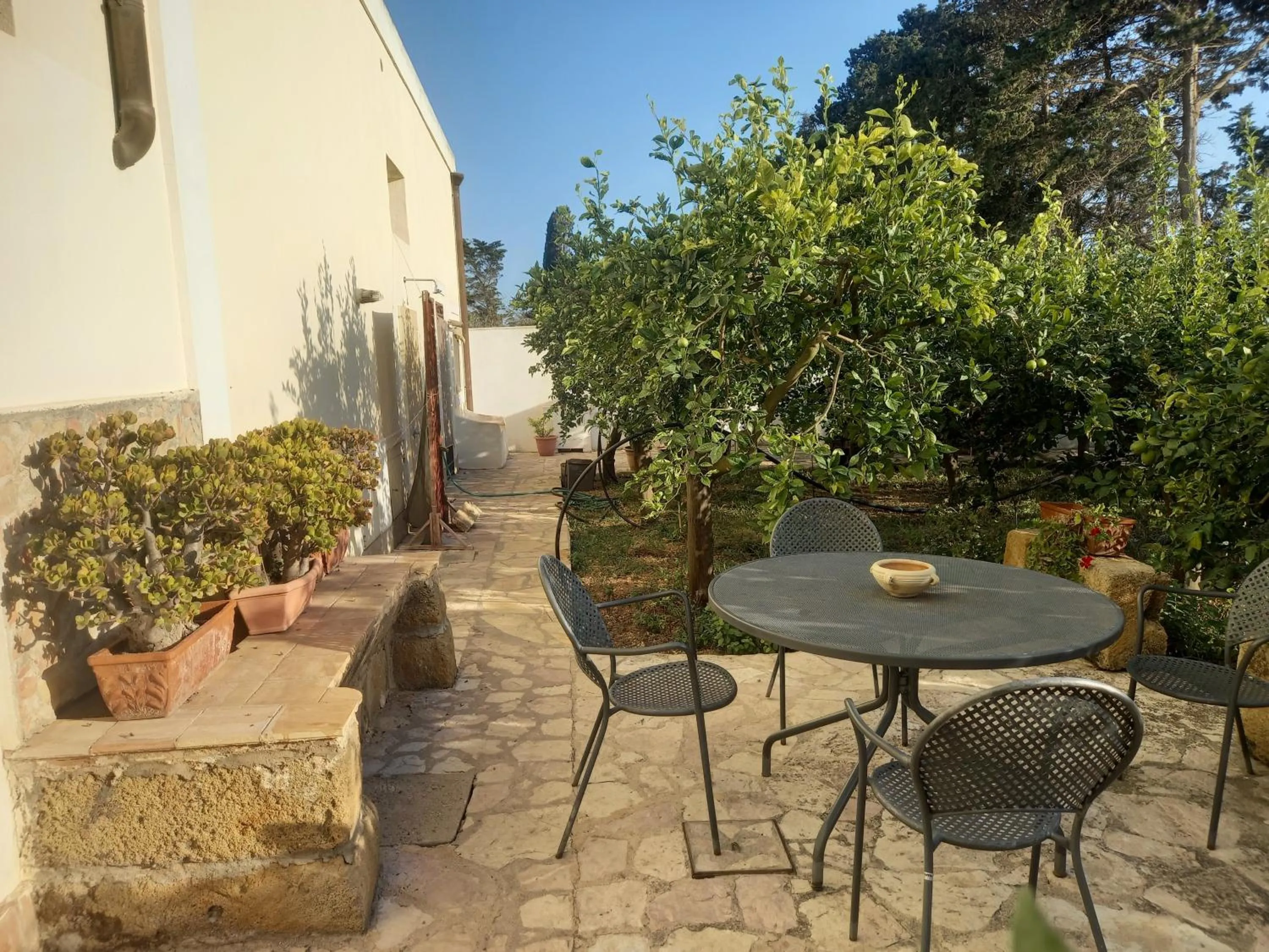 Garden in Baglio Spanò - Antiche Dimore di Sicilia