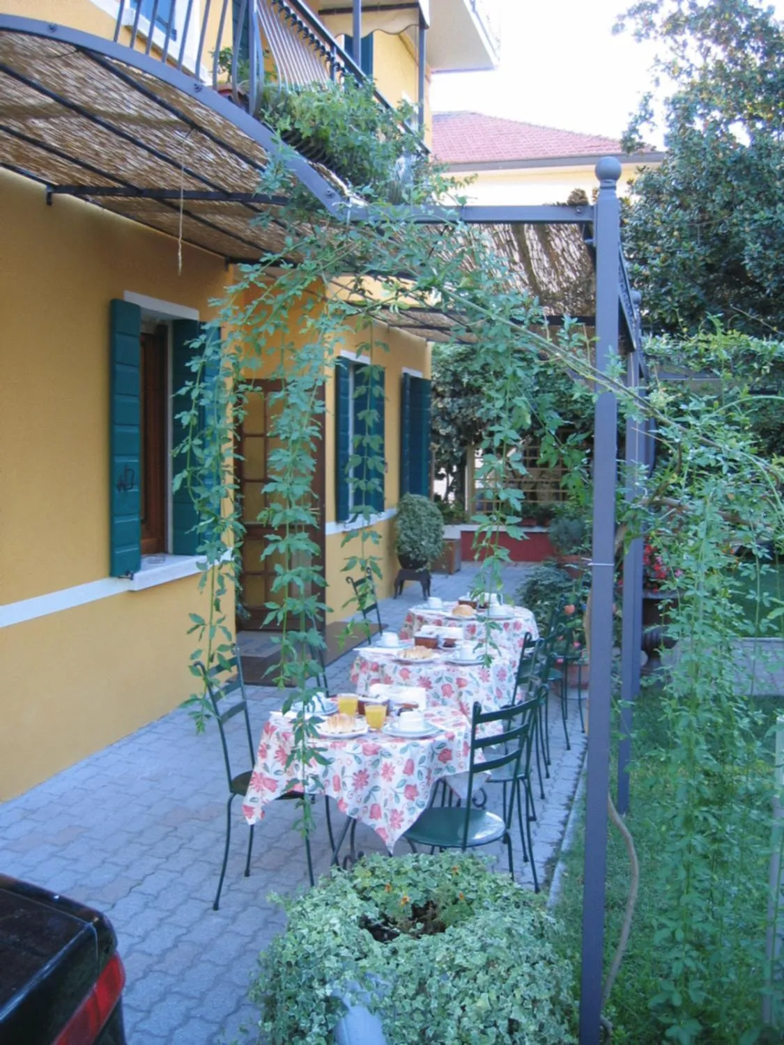 Garden in Antica Villa Graziella Venice - Atika & Atif