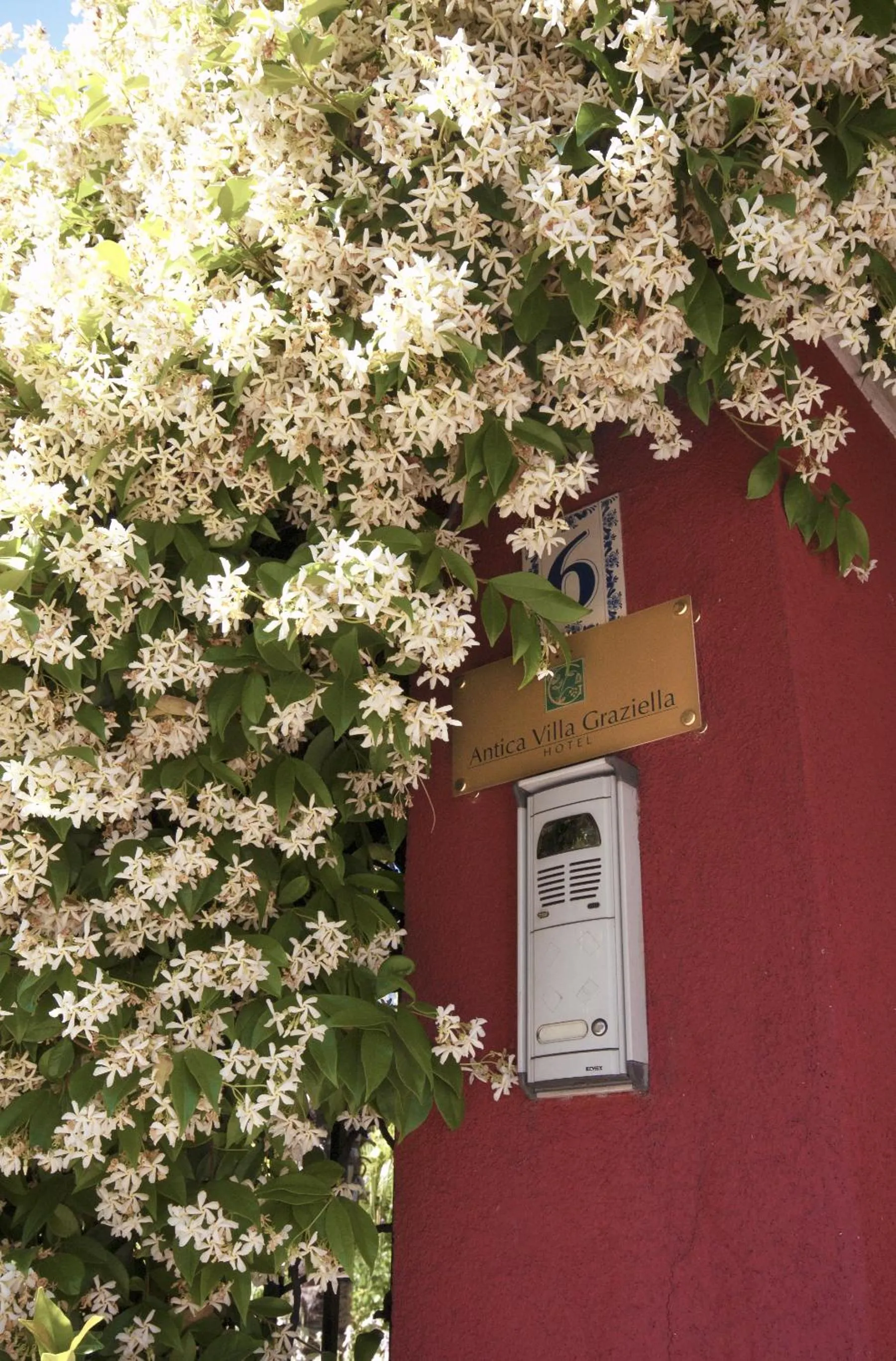 Decorative detail in Antica Villa Graziella Venice - Atika & Atif