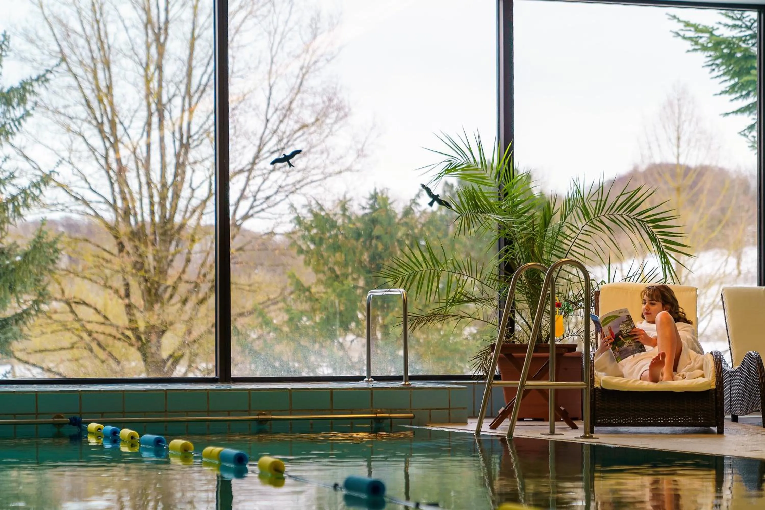 Swimming pool in Hotel Am Kurpark