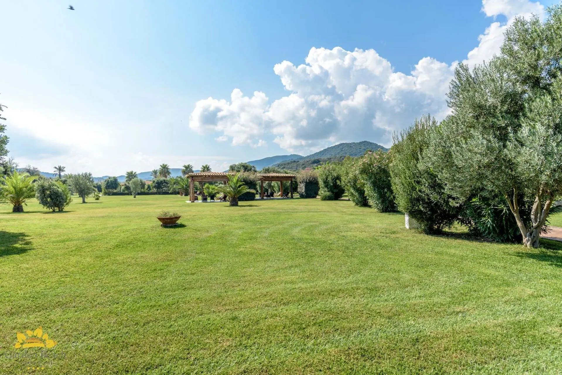 Garden view in Hotel Garden Beach