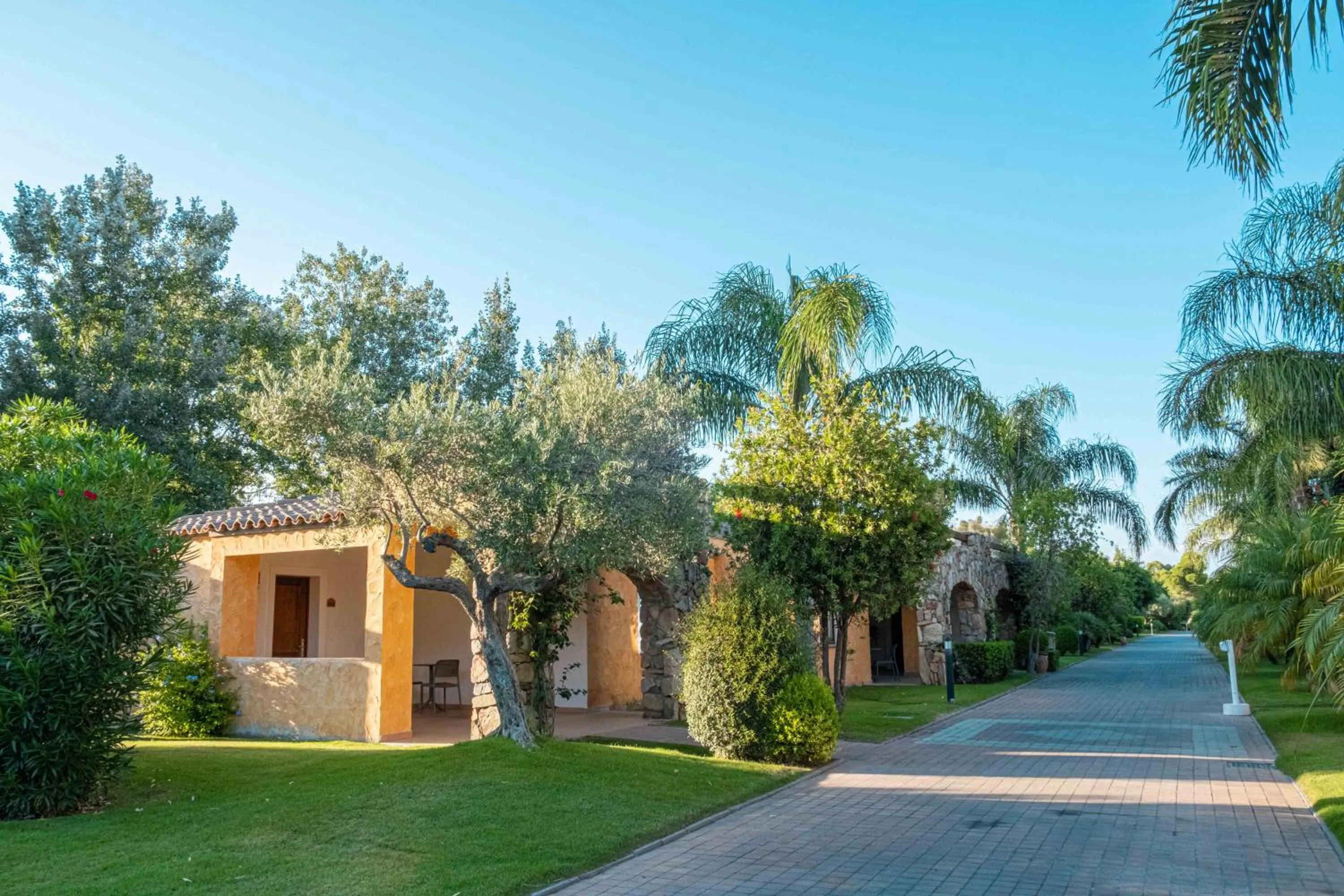 Garden in Hotel Garden Beach