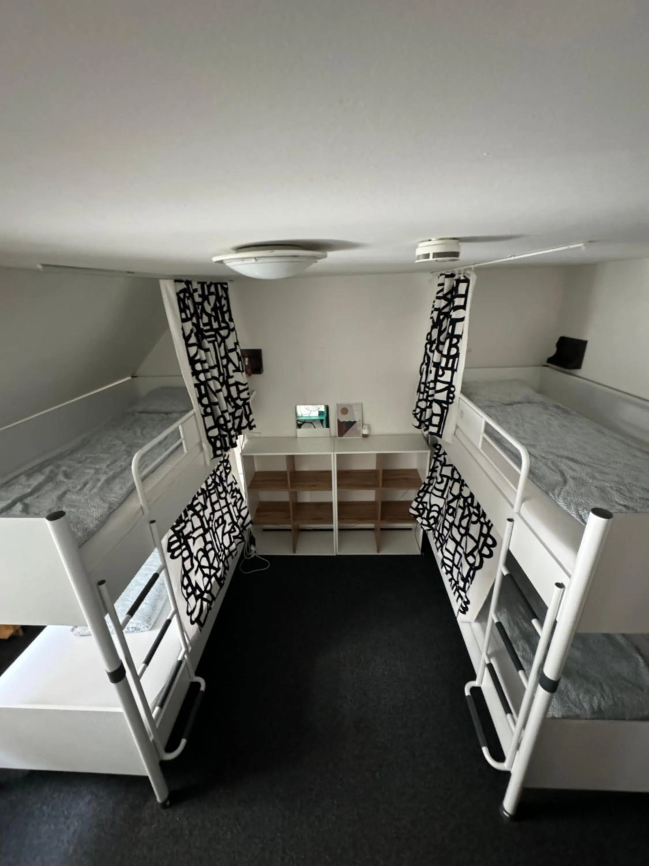 Bed in Hostel John Galt