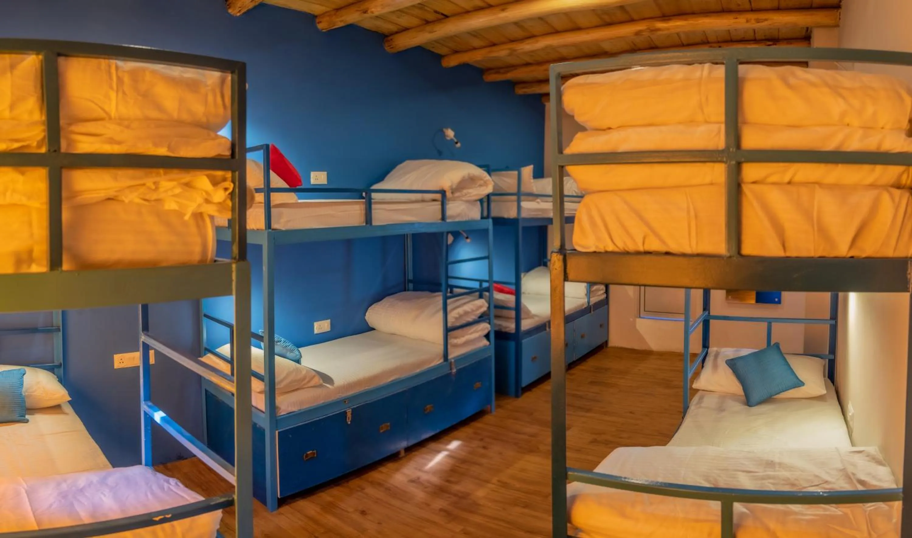 bunk bed in Black Sheep Bed & Breakfast