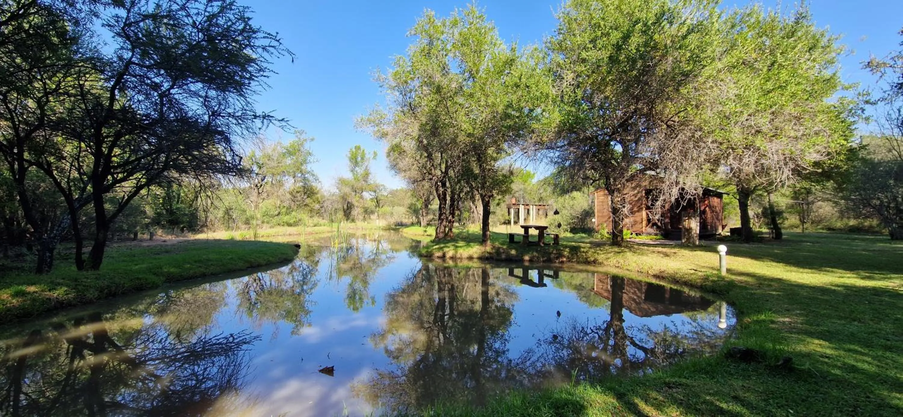 Natural landscape in Tamboti Bush Lodge