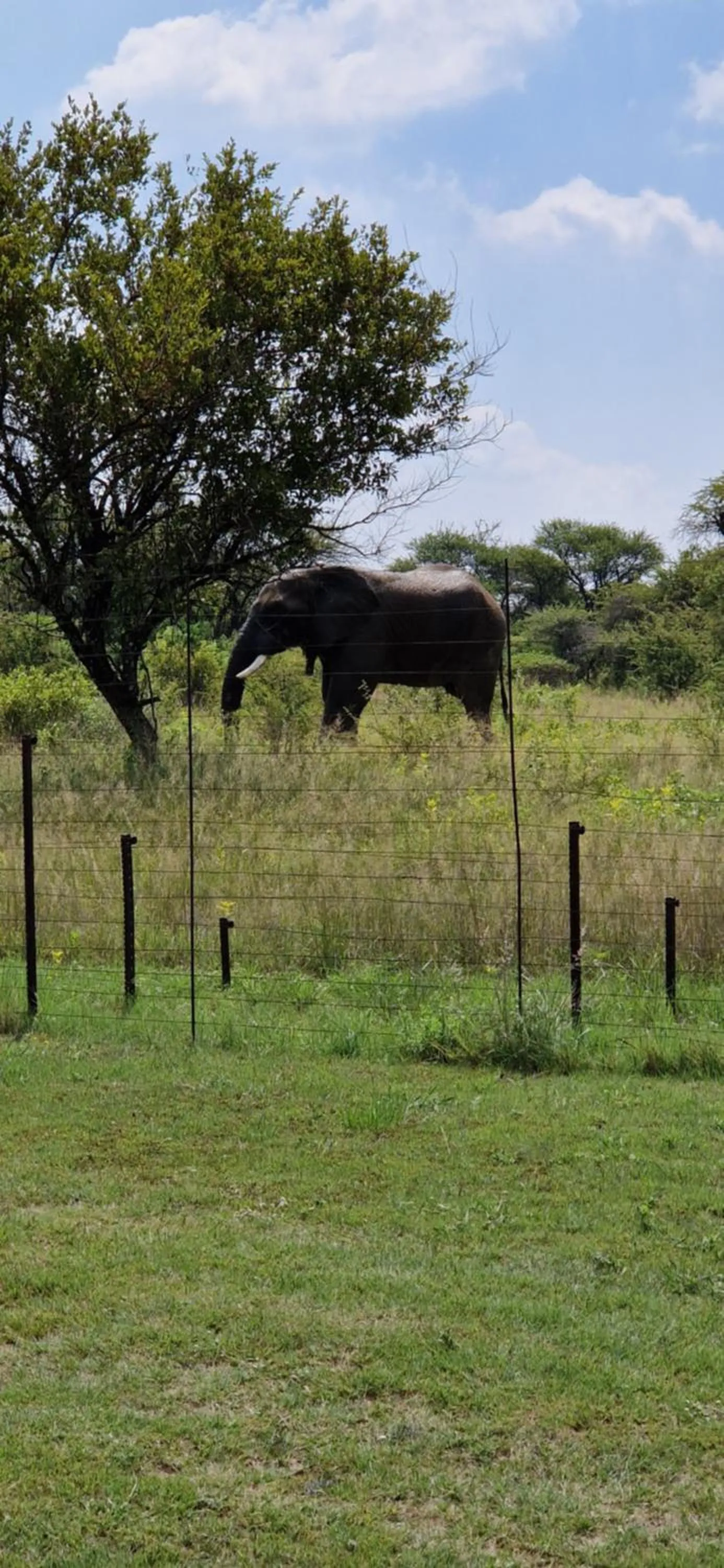 Natural landscape in Tamboti Bush Lodge