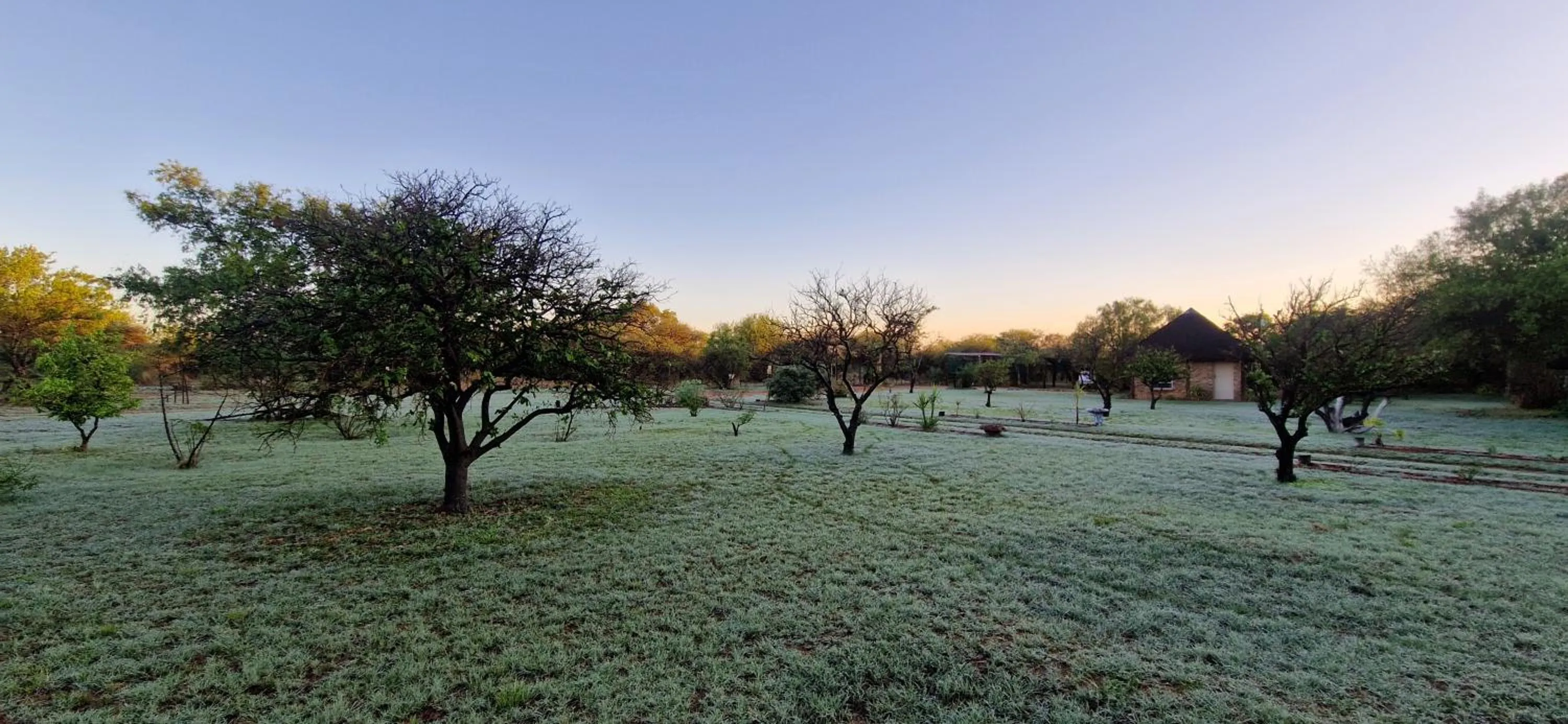 Natural landscape in Tamboti Bush Lodge