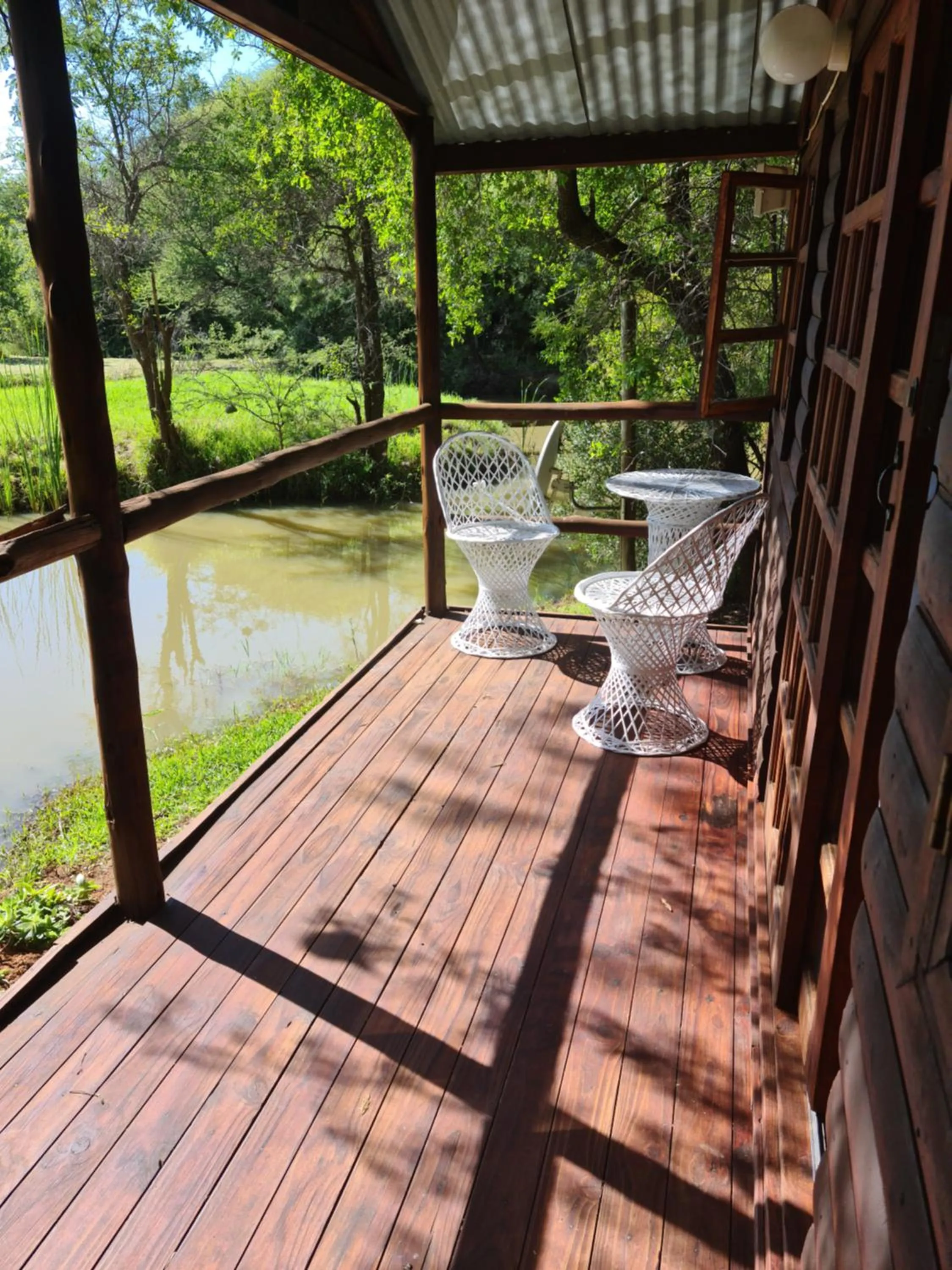 Natural landscape in Tamboti Bush Lodge