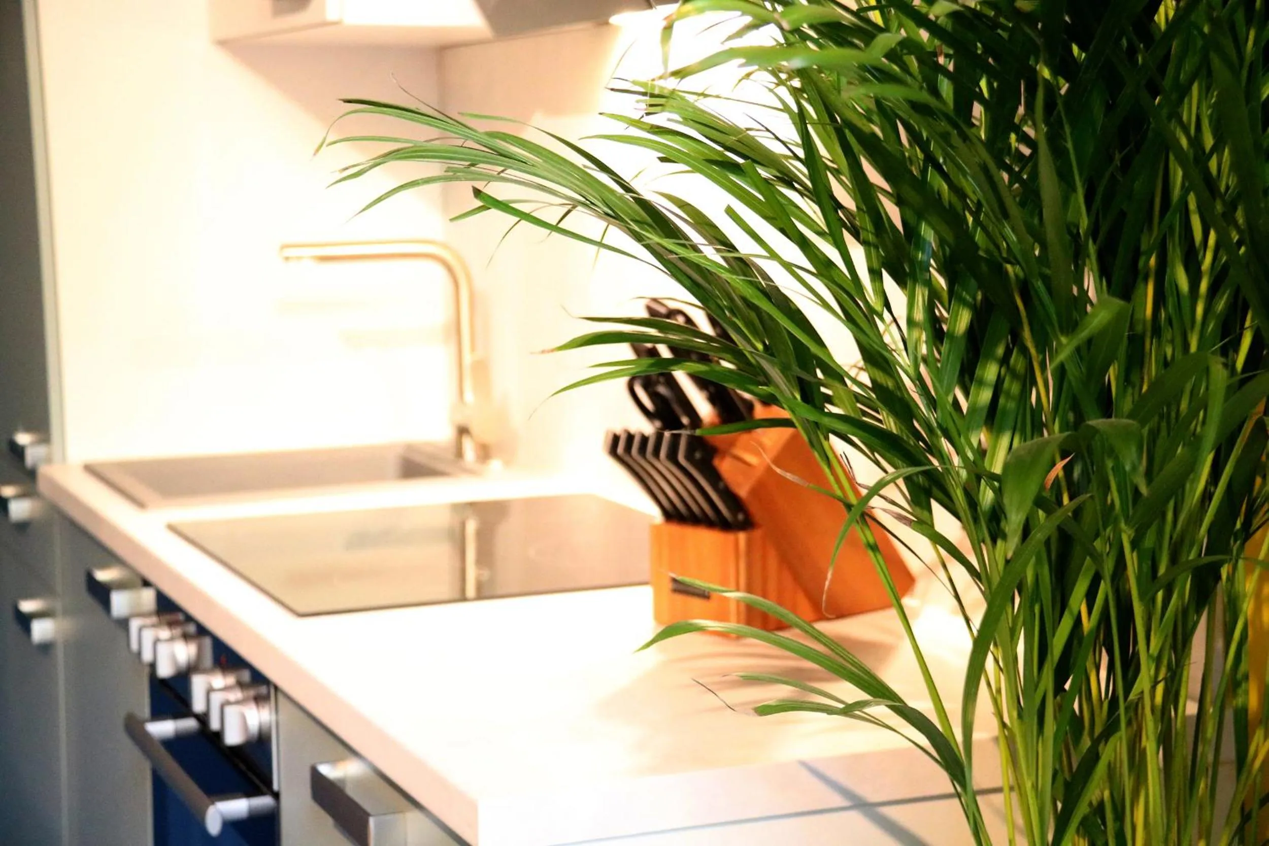 Kitchen or kitchenette in Street Living Hotel - Apartments