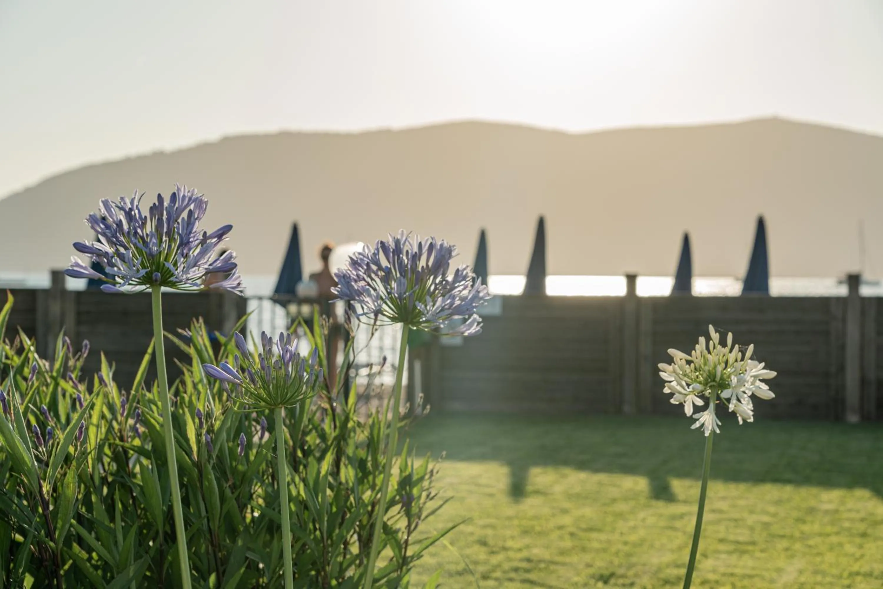 Garden in Hotel Portoconte