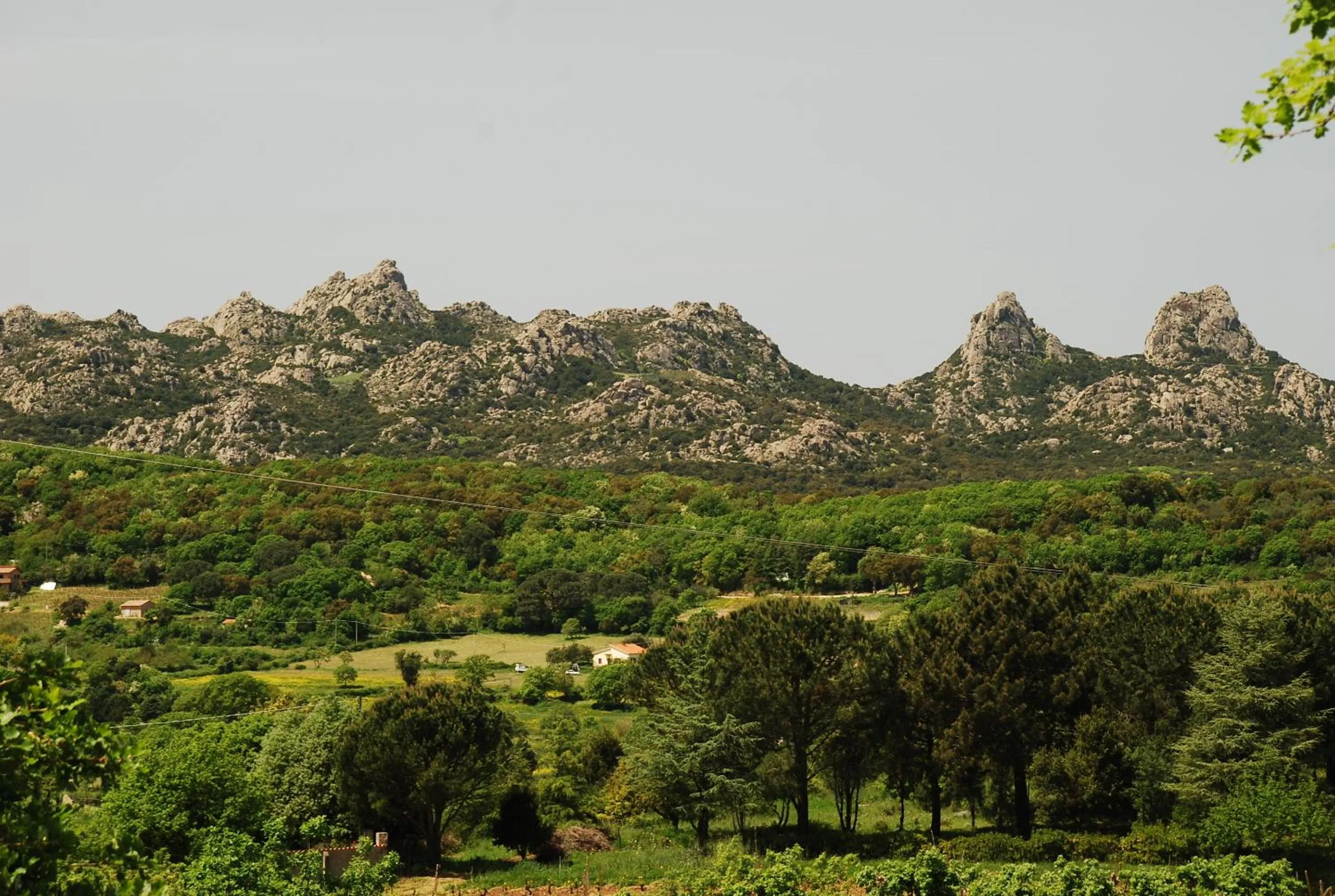 View (from property/room) in Pausania Inn