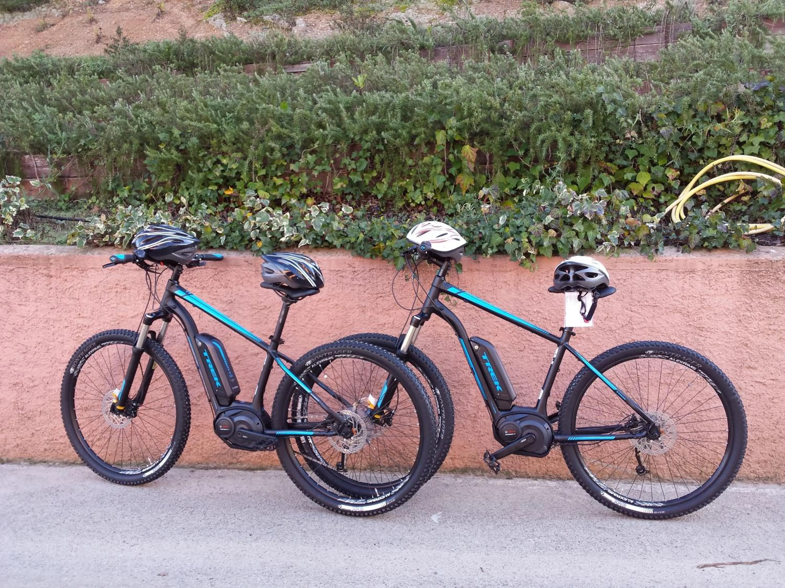 Activities in Pausania Inn