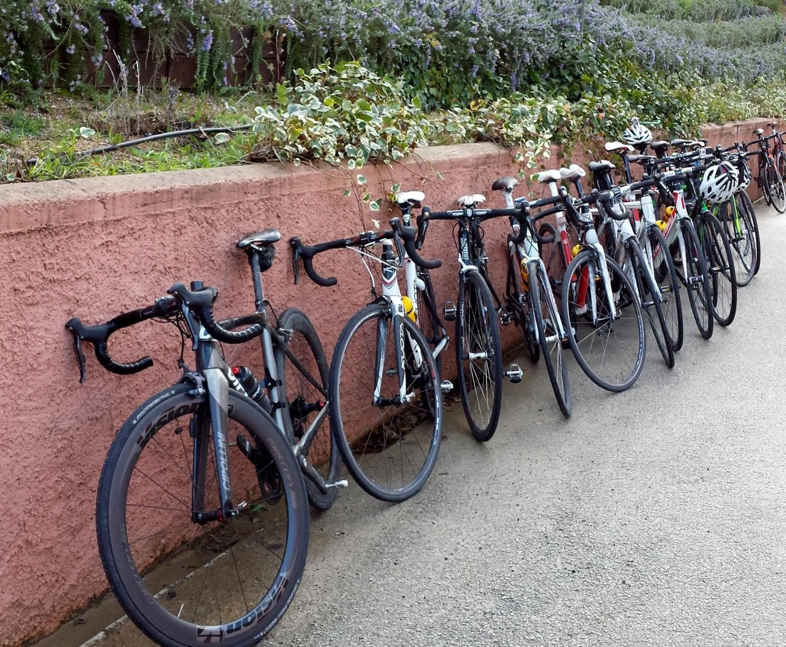 Other in Pausania Inn