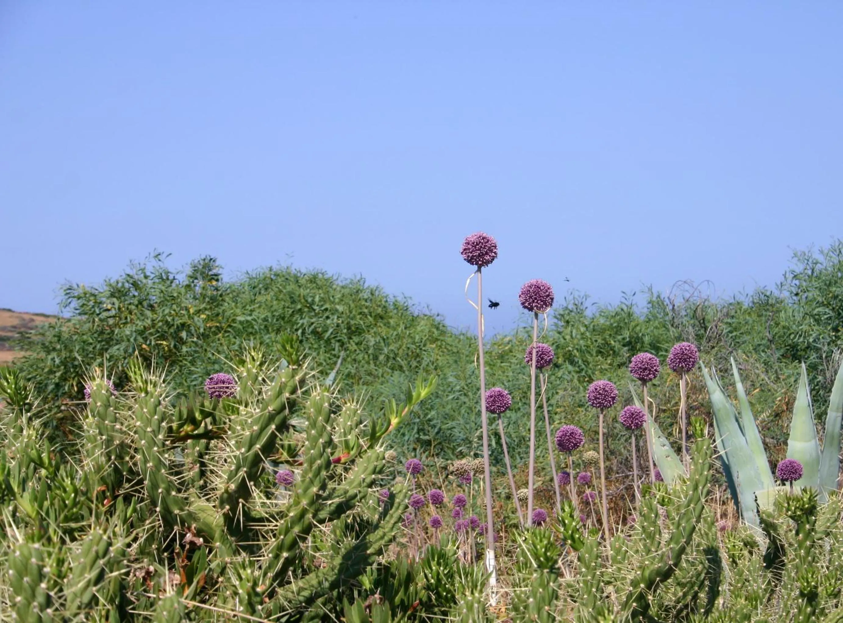 Area and facilities in Pausania Inn