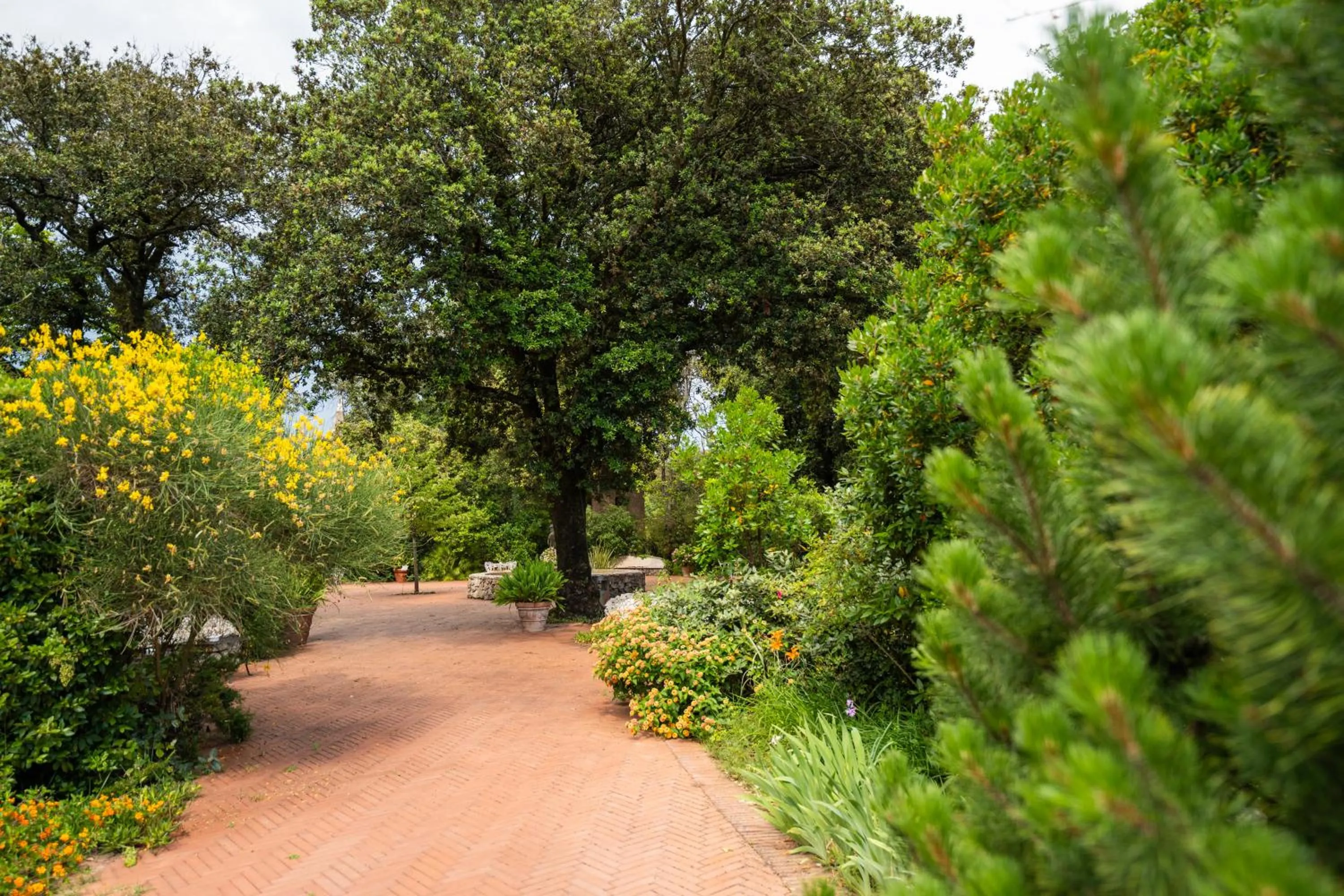 Park Hotel Villa Ariston