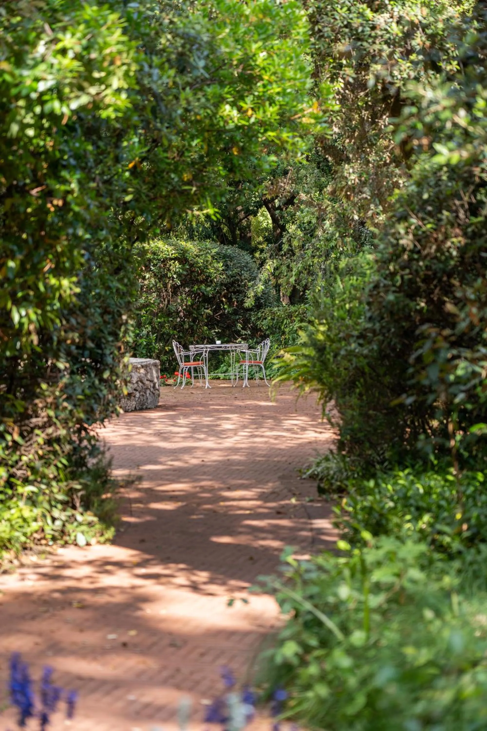 Park Hotel Villa Ariston