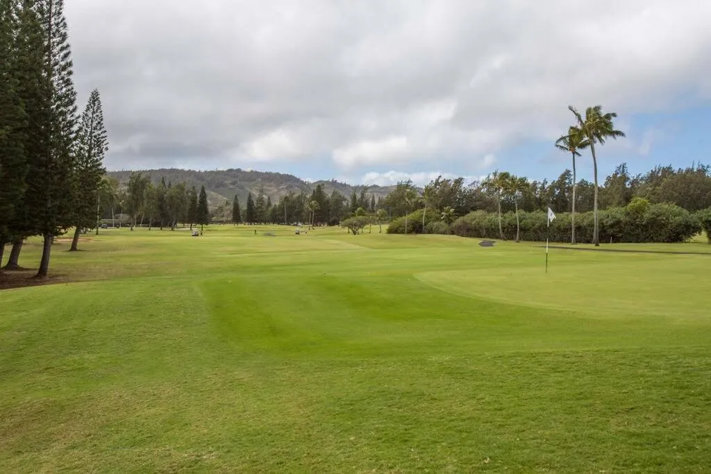 Beach Cozy North Shore Turtle Bay Condo