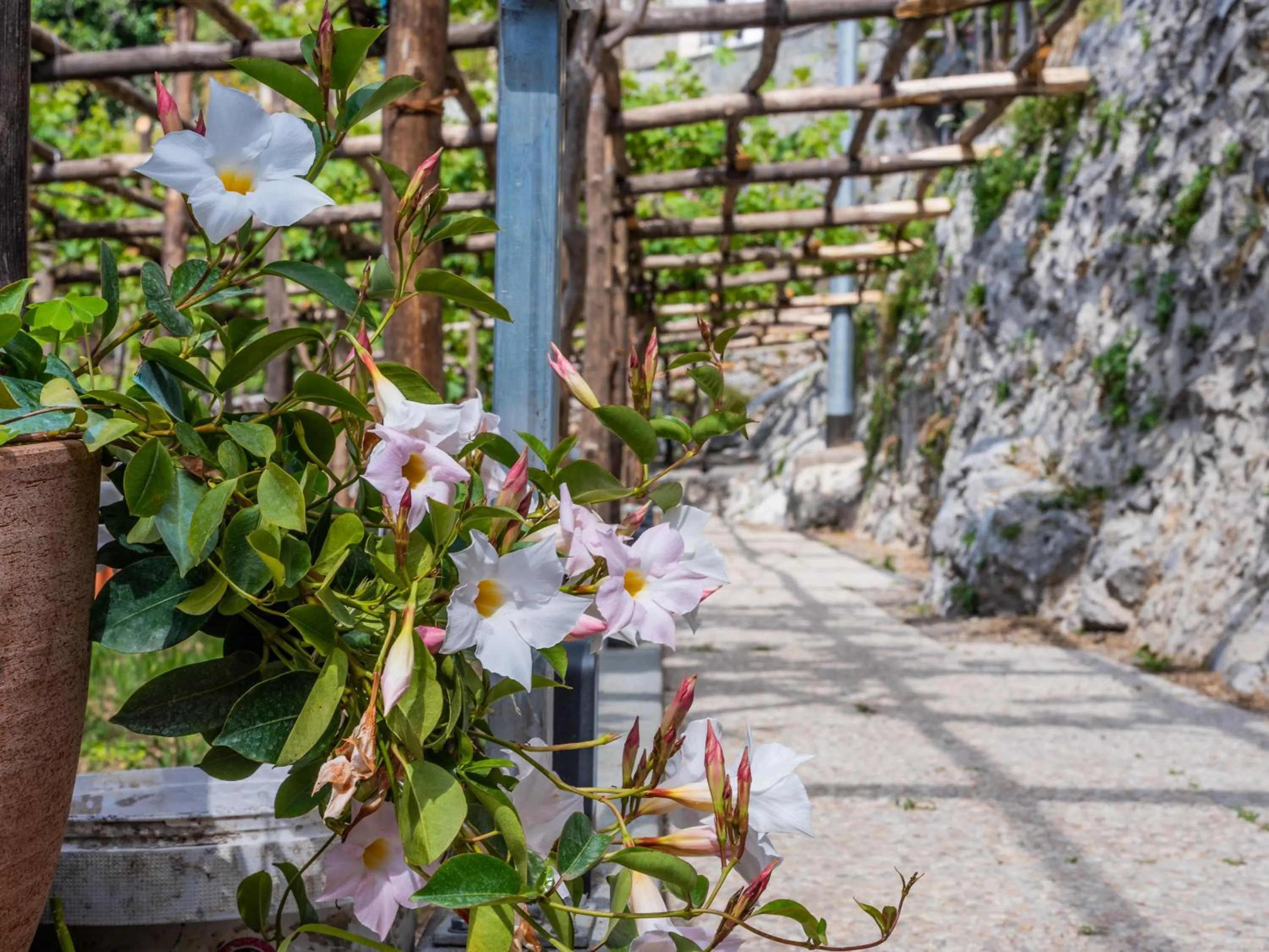 Albergo Diffuso Bacco Furore