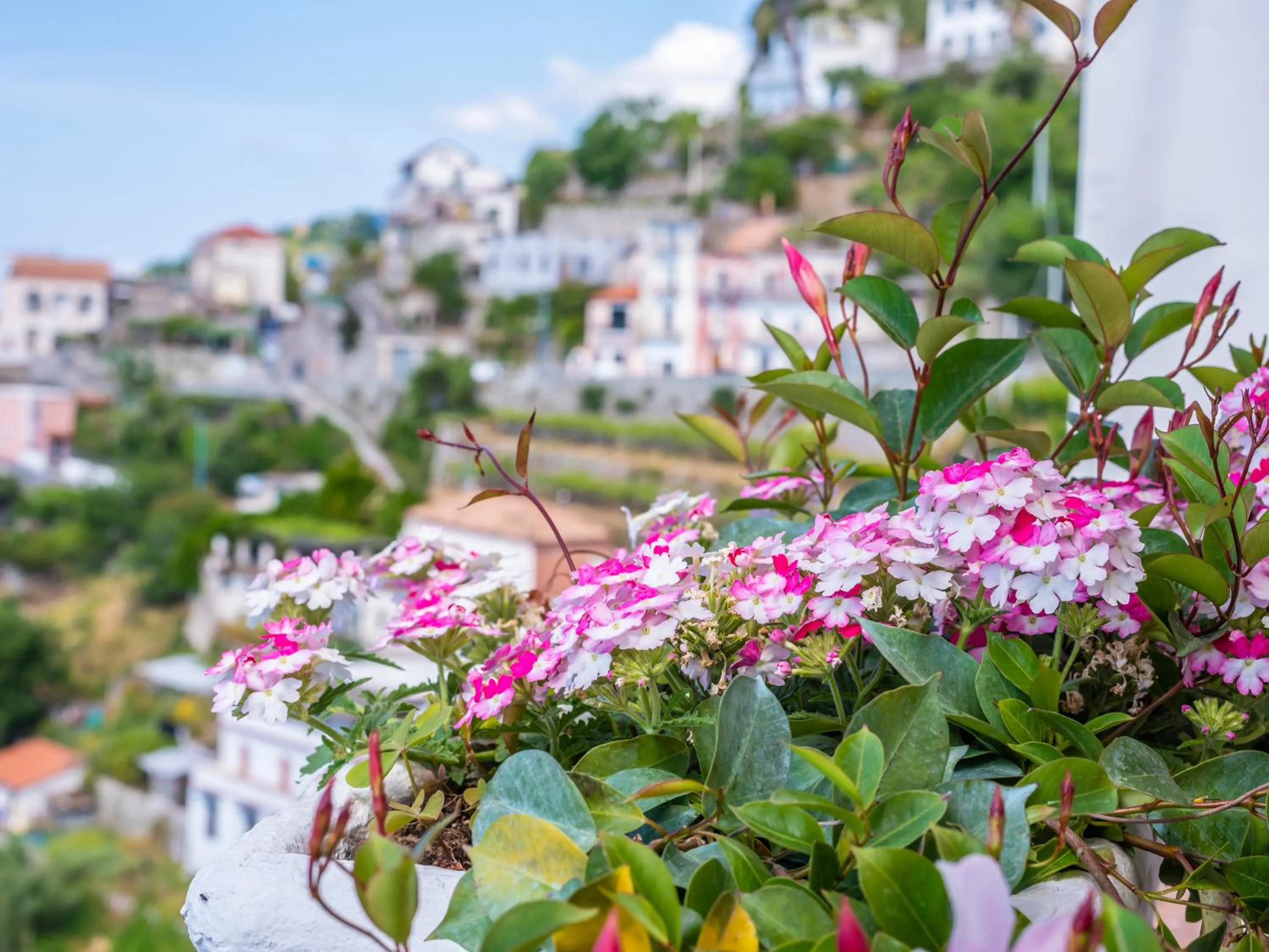 Albergo Diffuso Bacco Furore