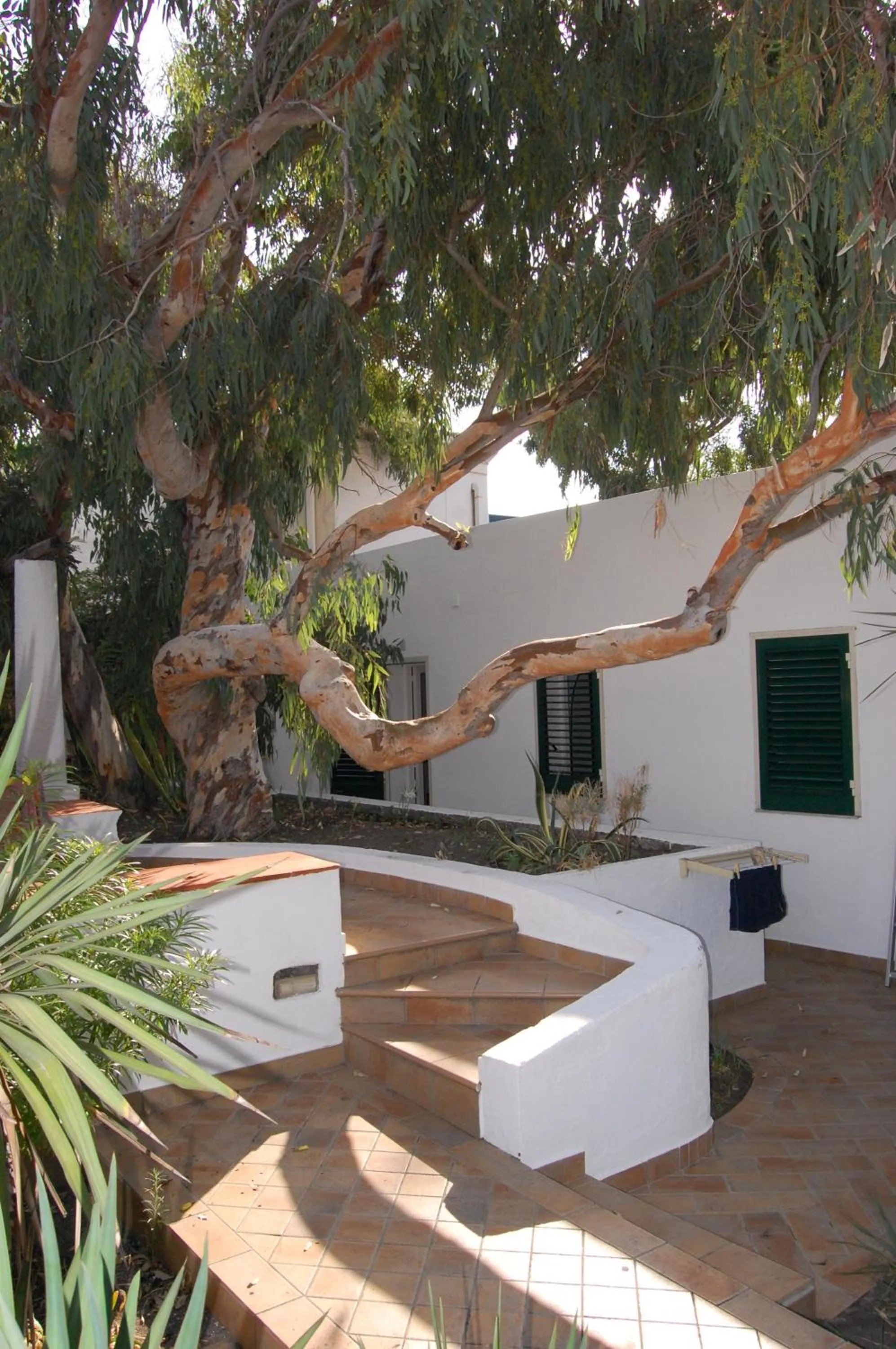 Other in Hotel Conti