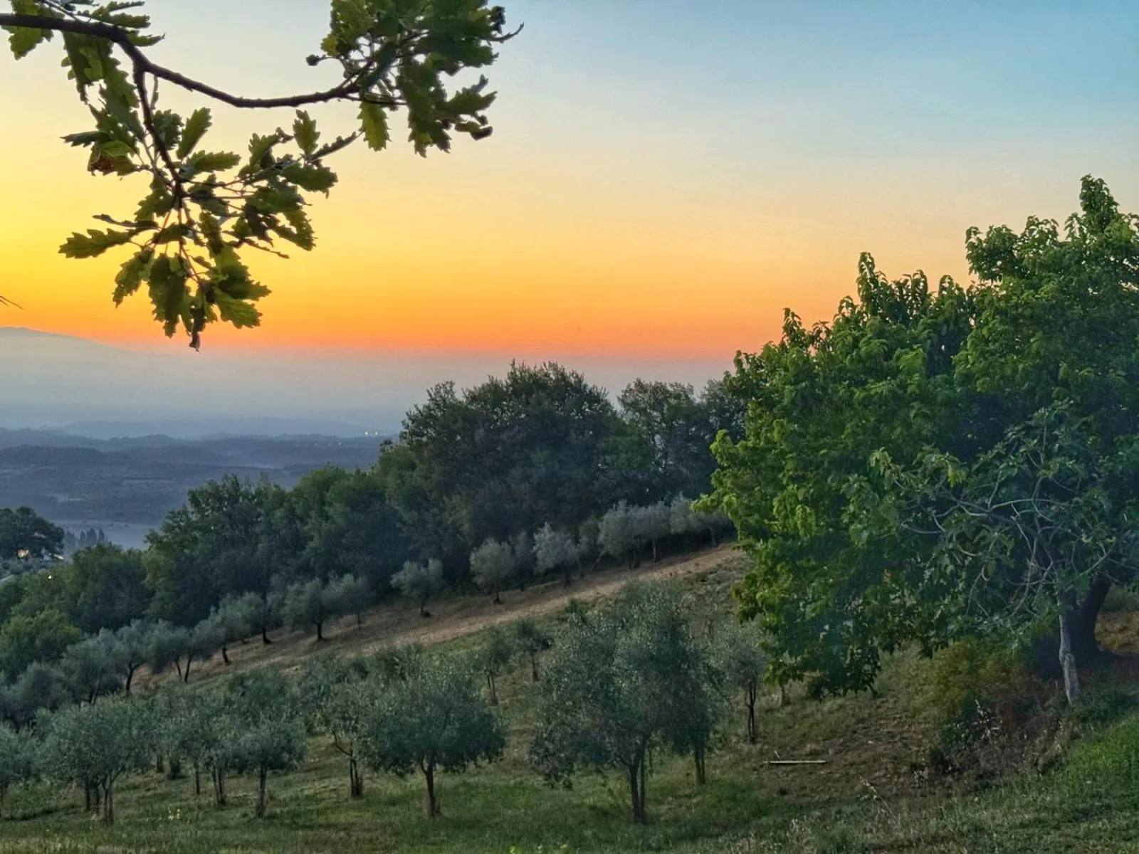 View (from property/room) in Amoliv