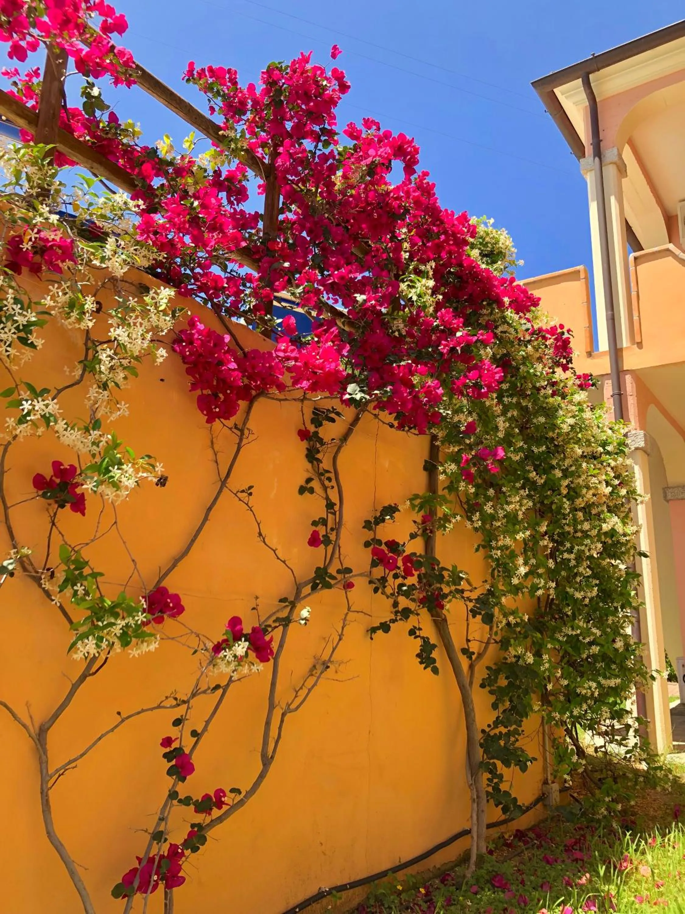 Spring in Residence Corte Dei Venti