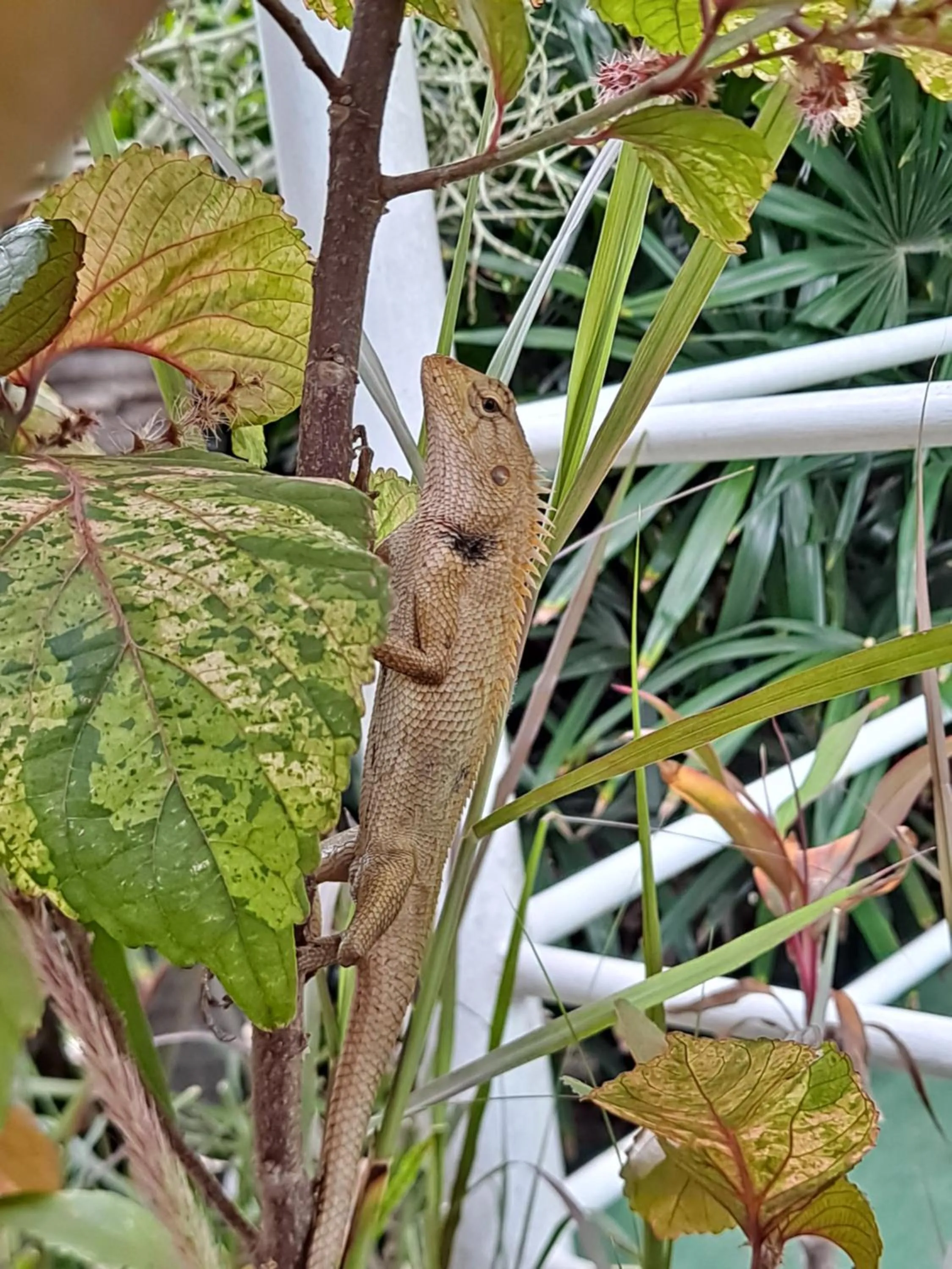 The Beach Boutique Resort