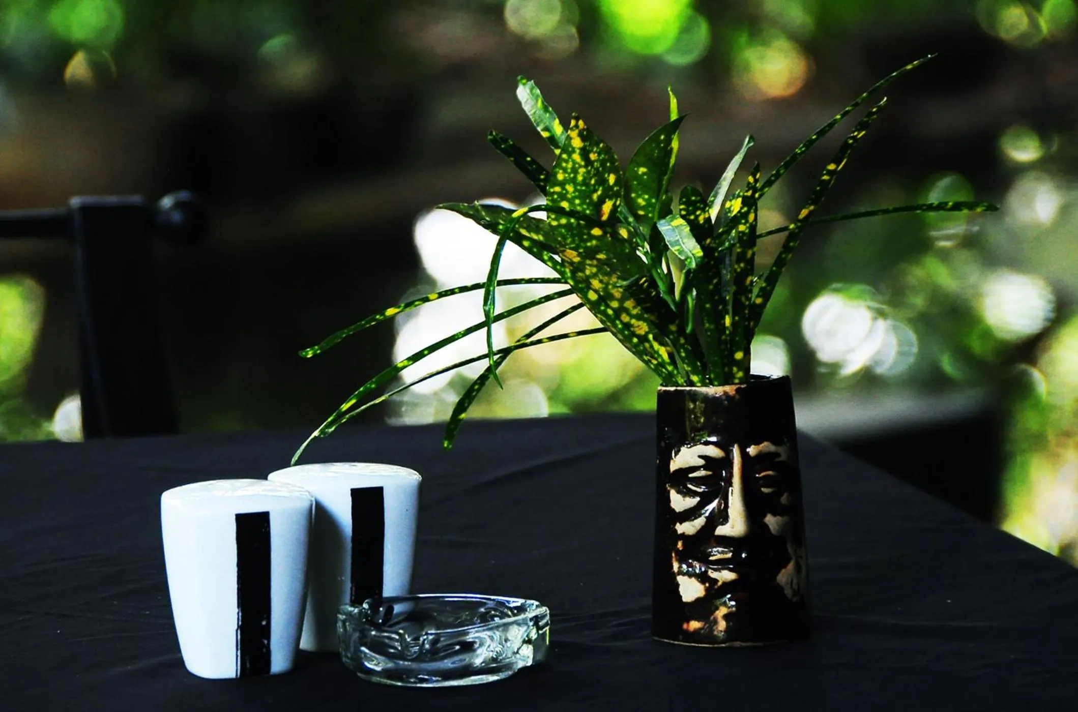 Other in Boulder Garden